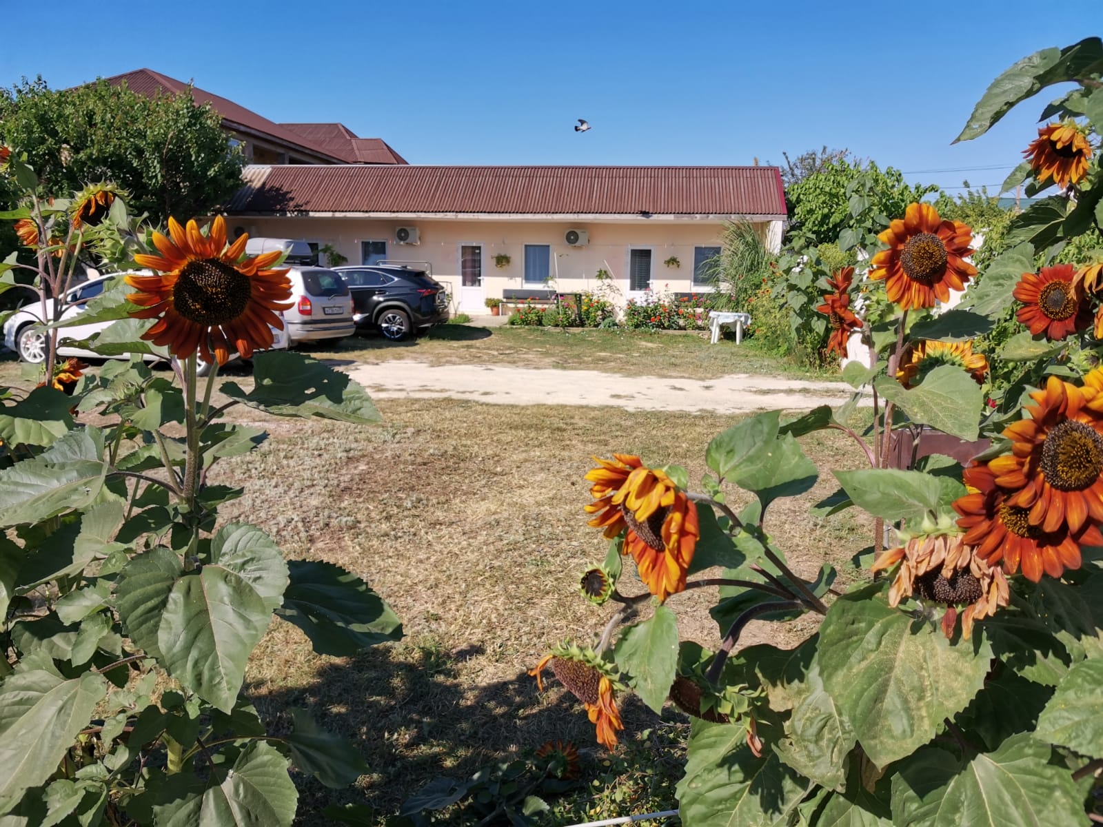 Фото отеля 2