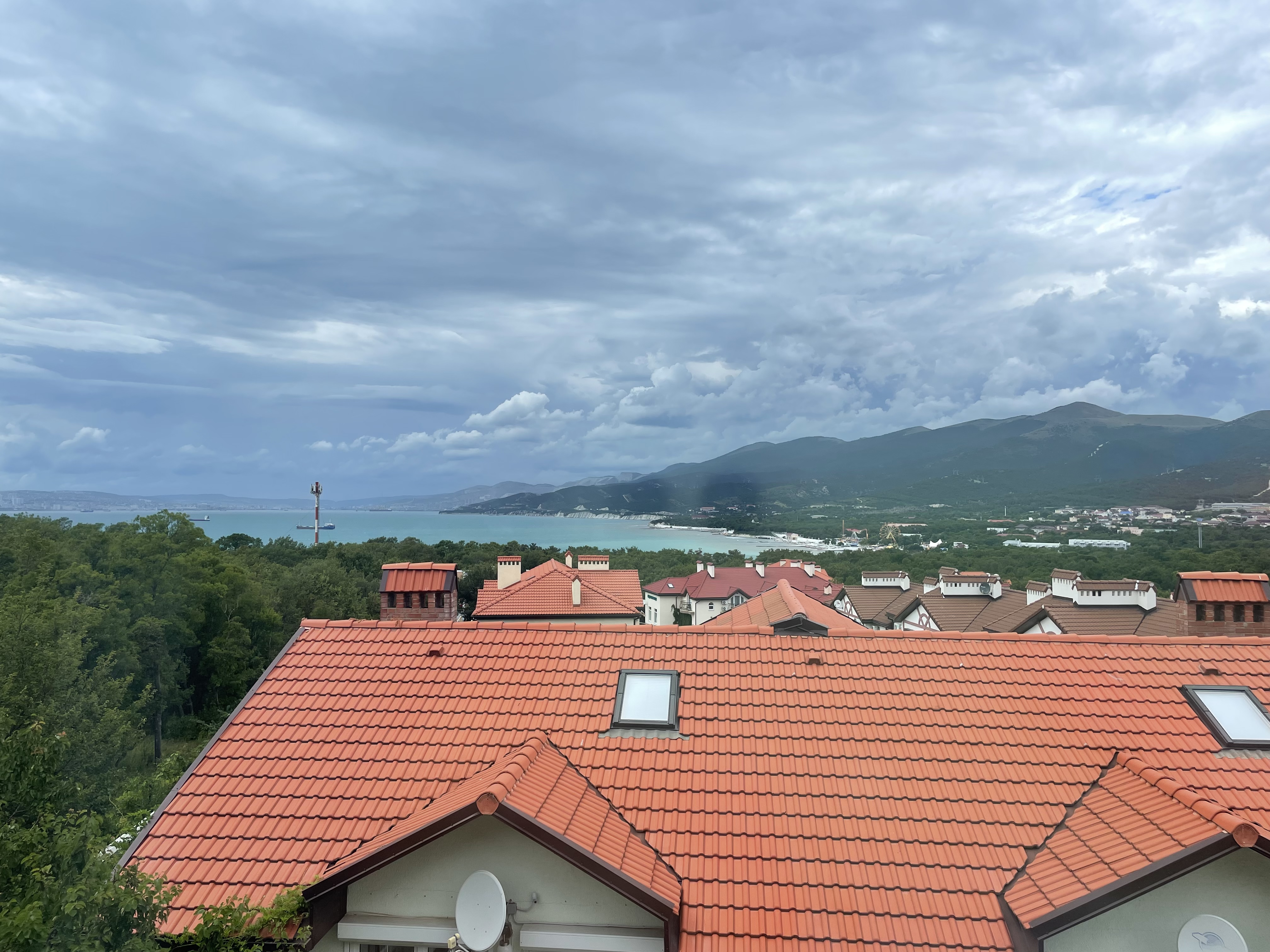 Фото Кедровая роща