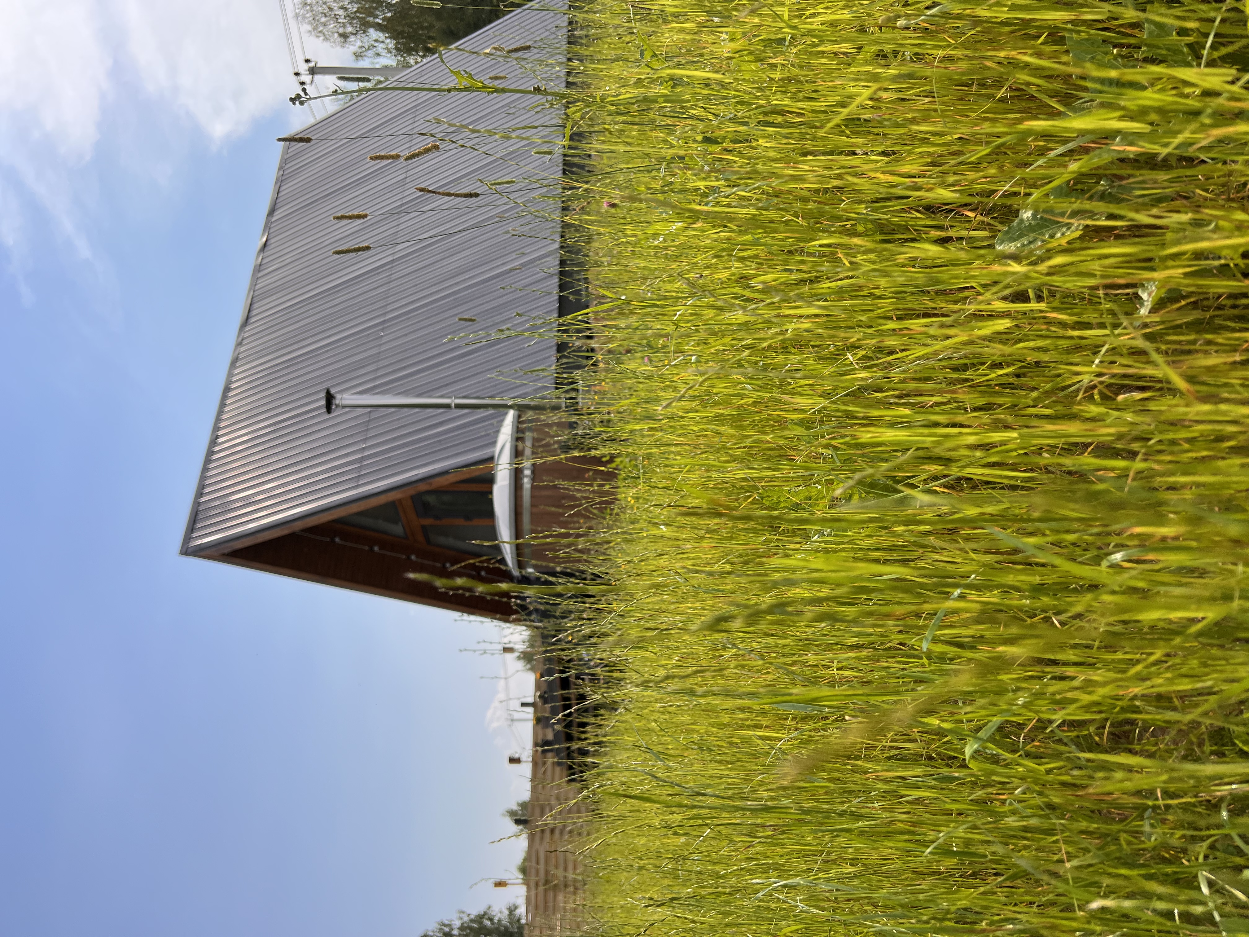 Фото Страна Оз