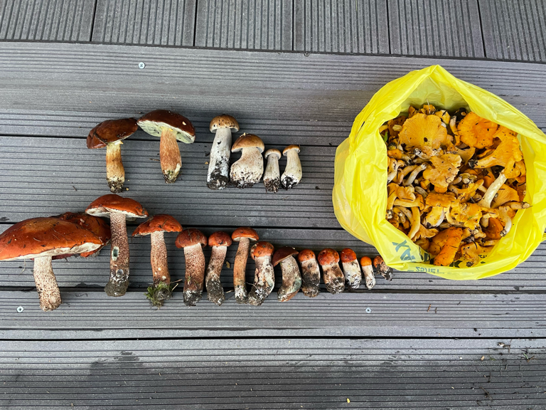 Фото Relax House