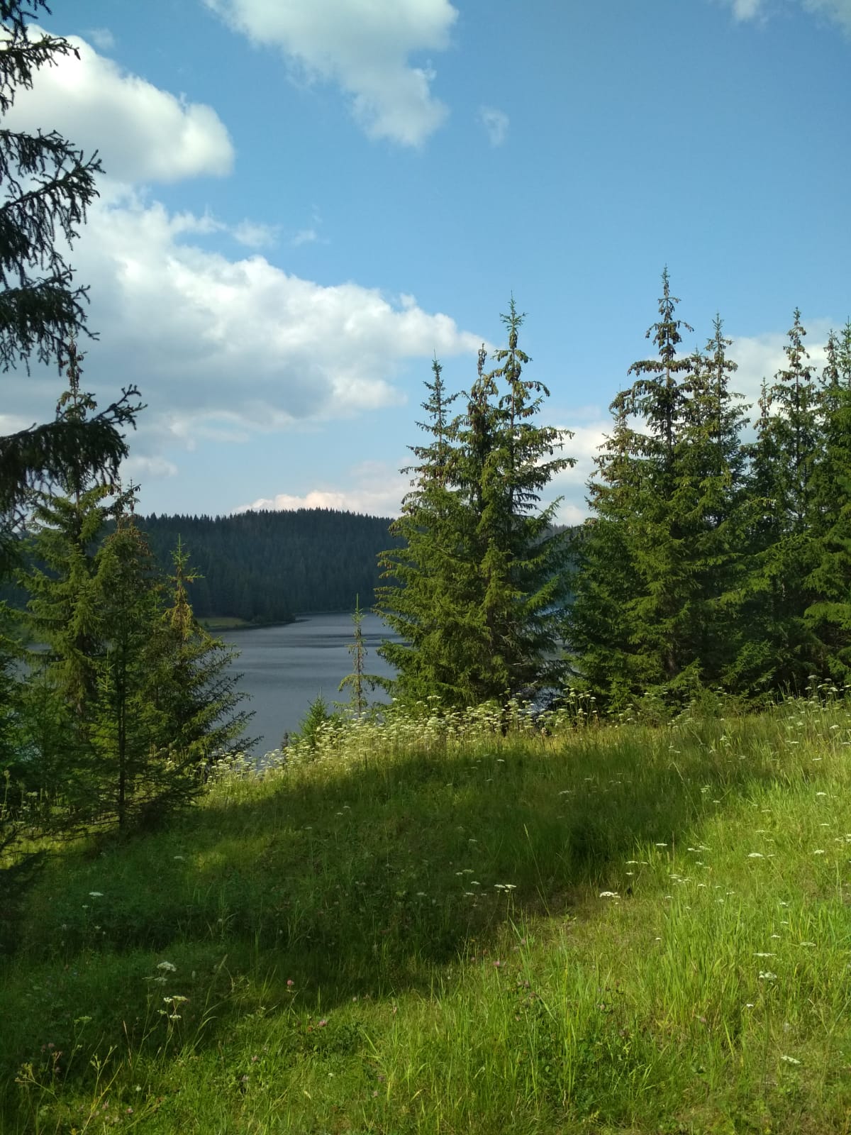 Фото Еловый мыс