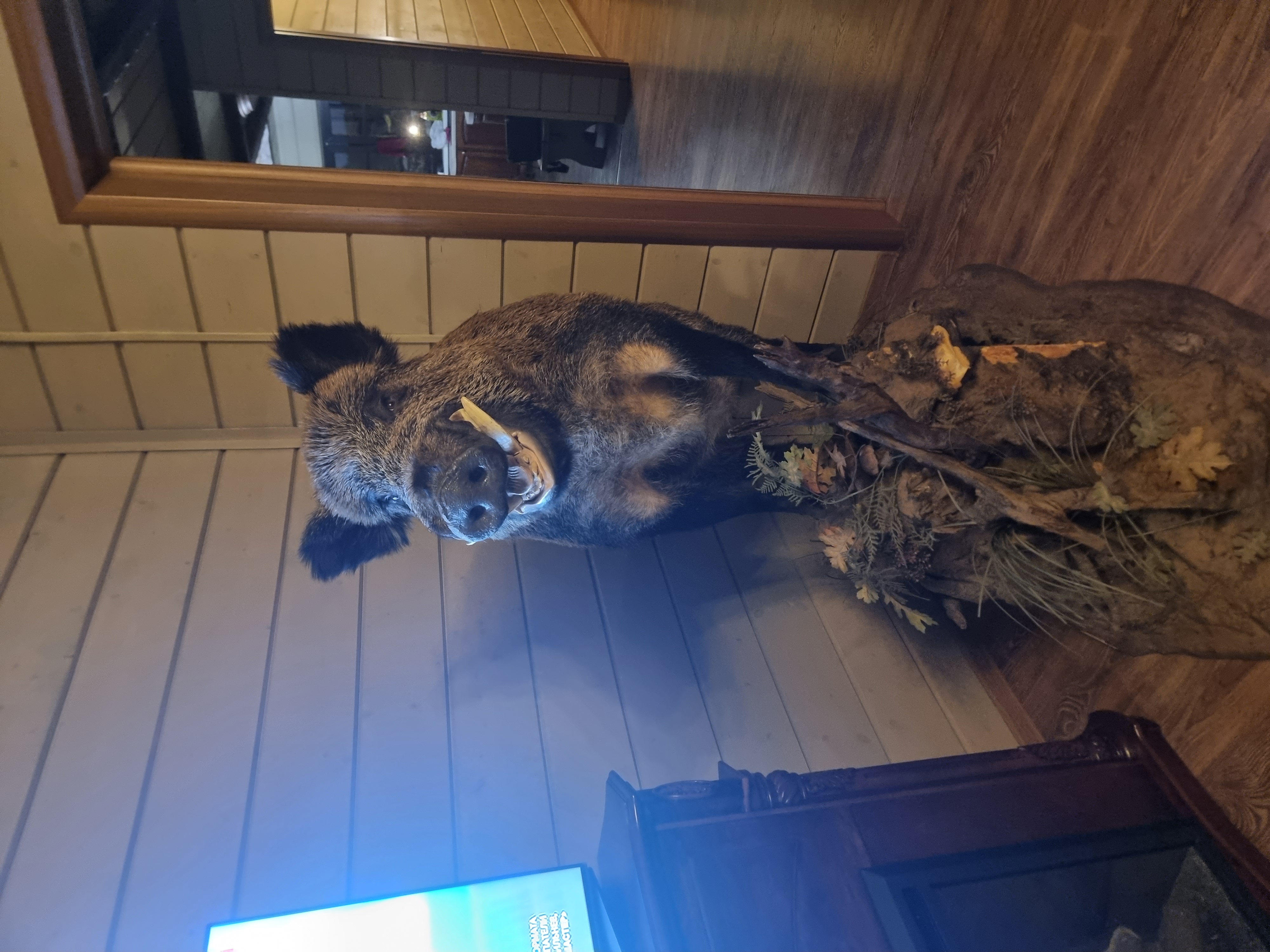 Фото Онежская усадьба