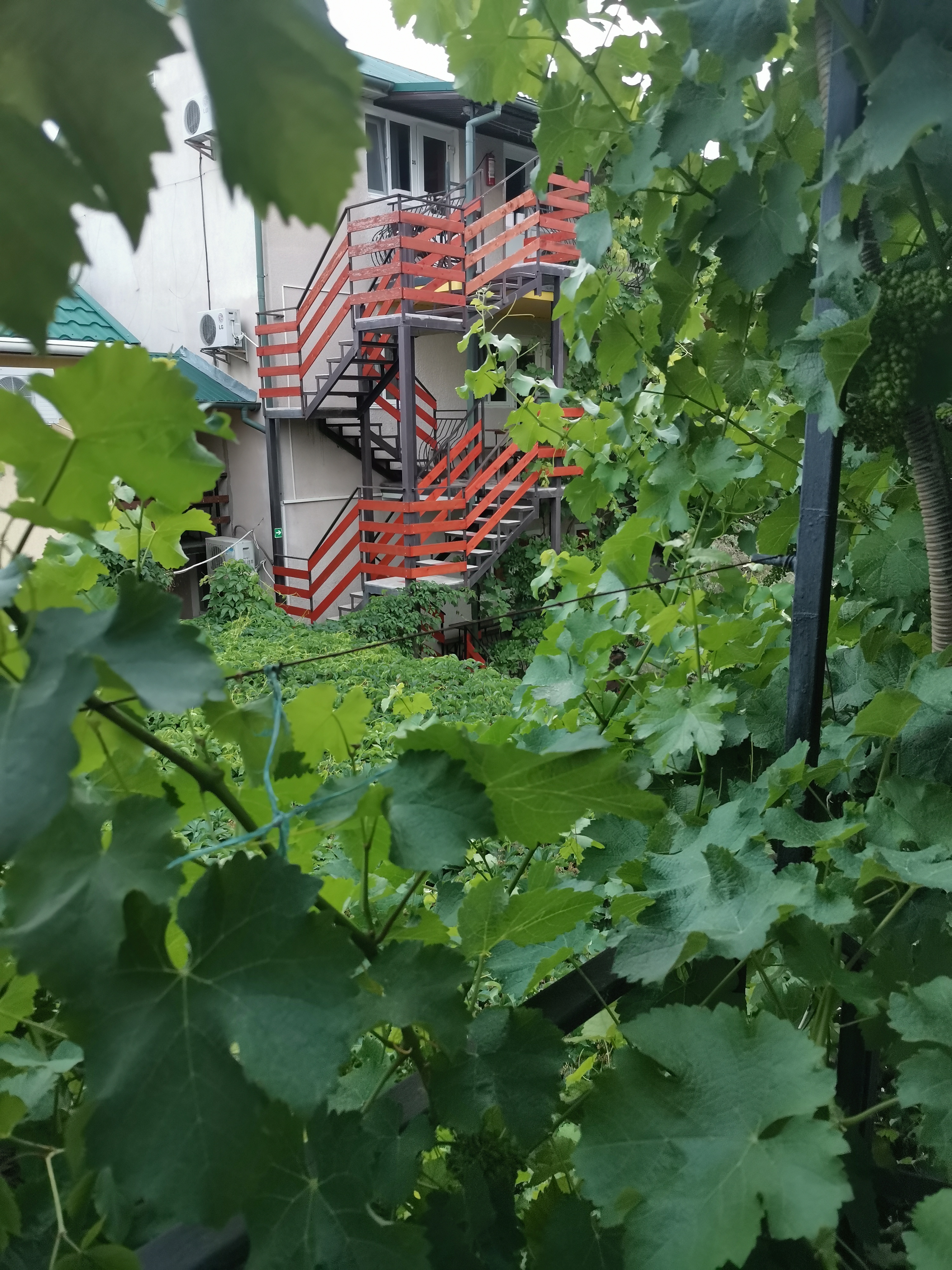 Фото Фортуна