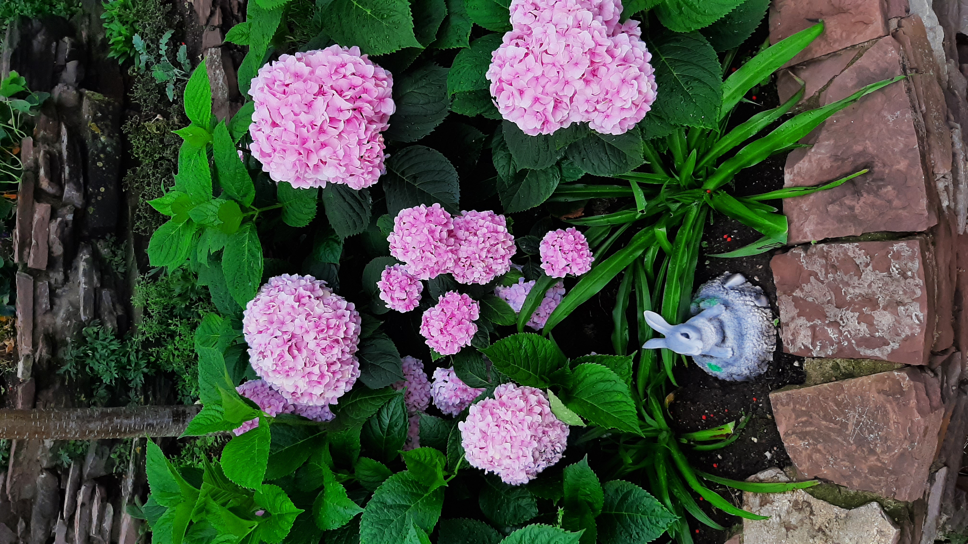 Фото Бегущая по волнам