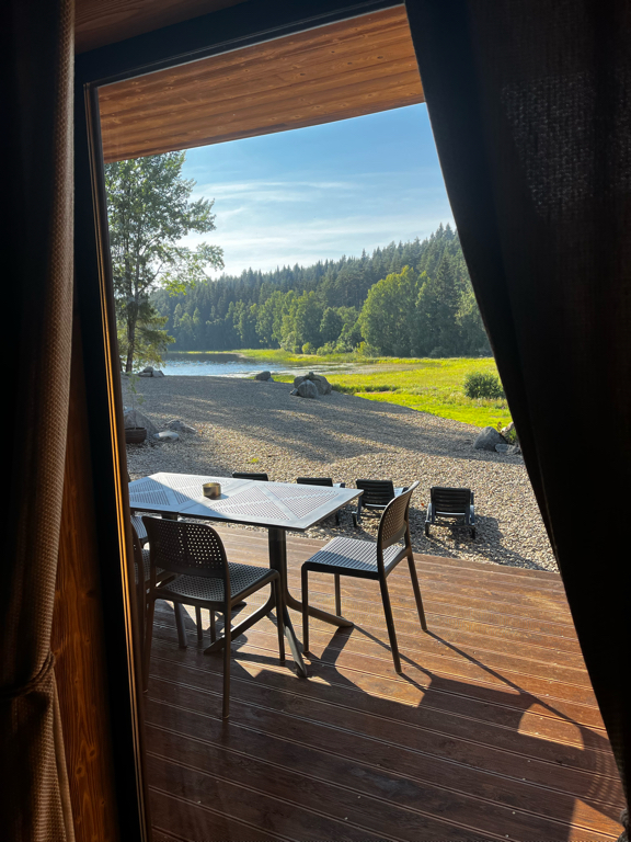 Фото Шелест