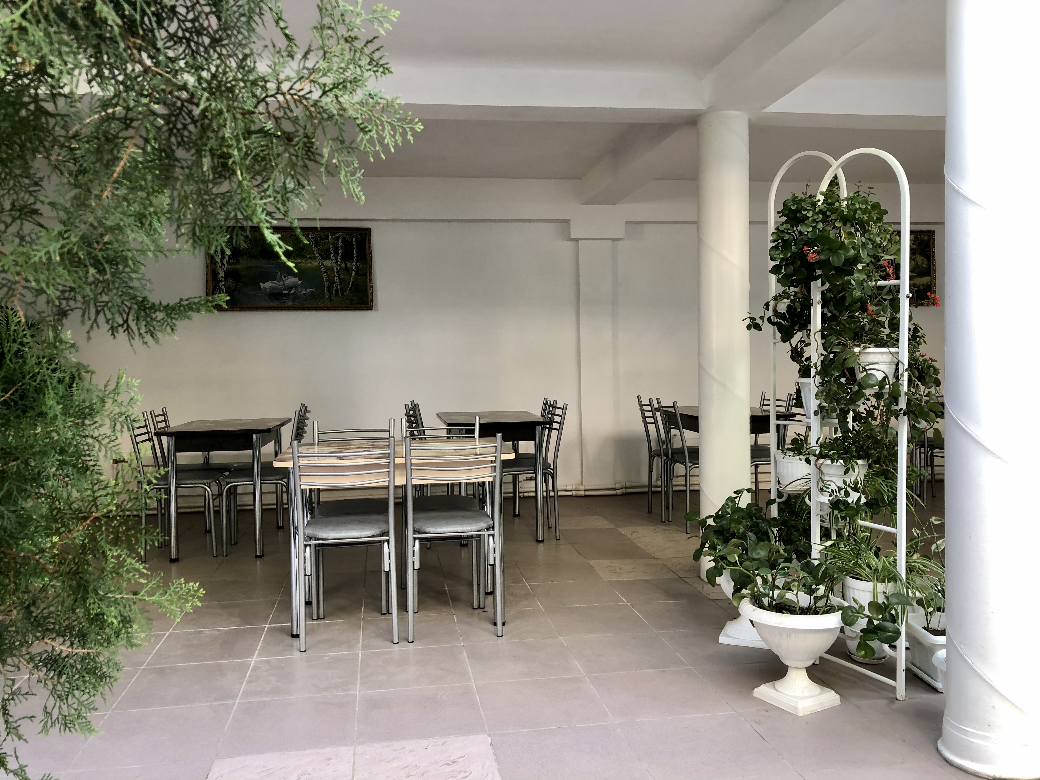 Фото Белая берёза