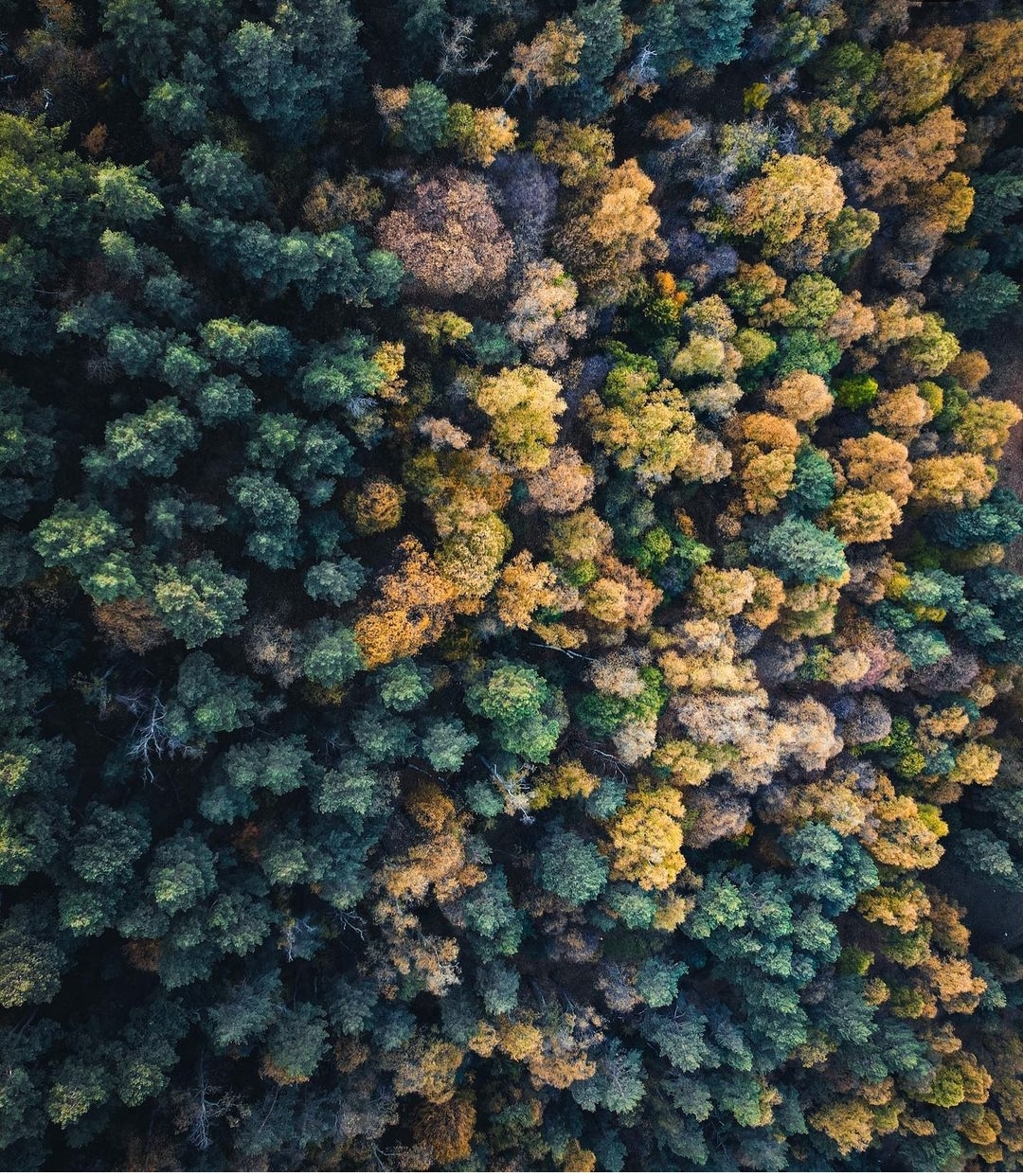 Фото Этнический дом Высота