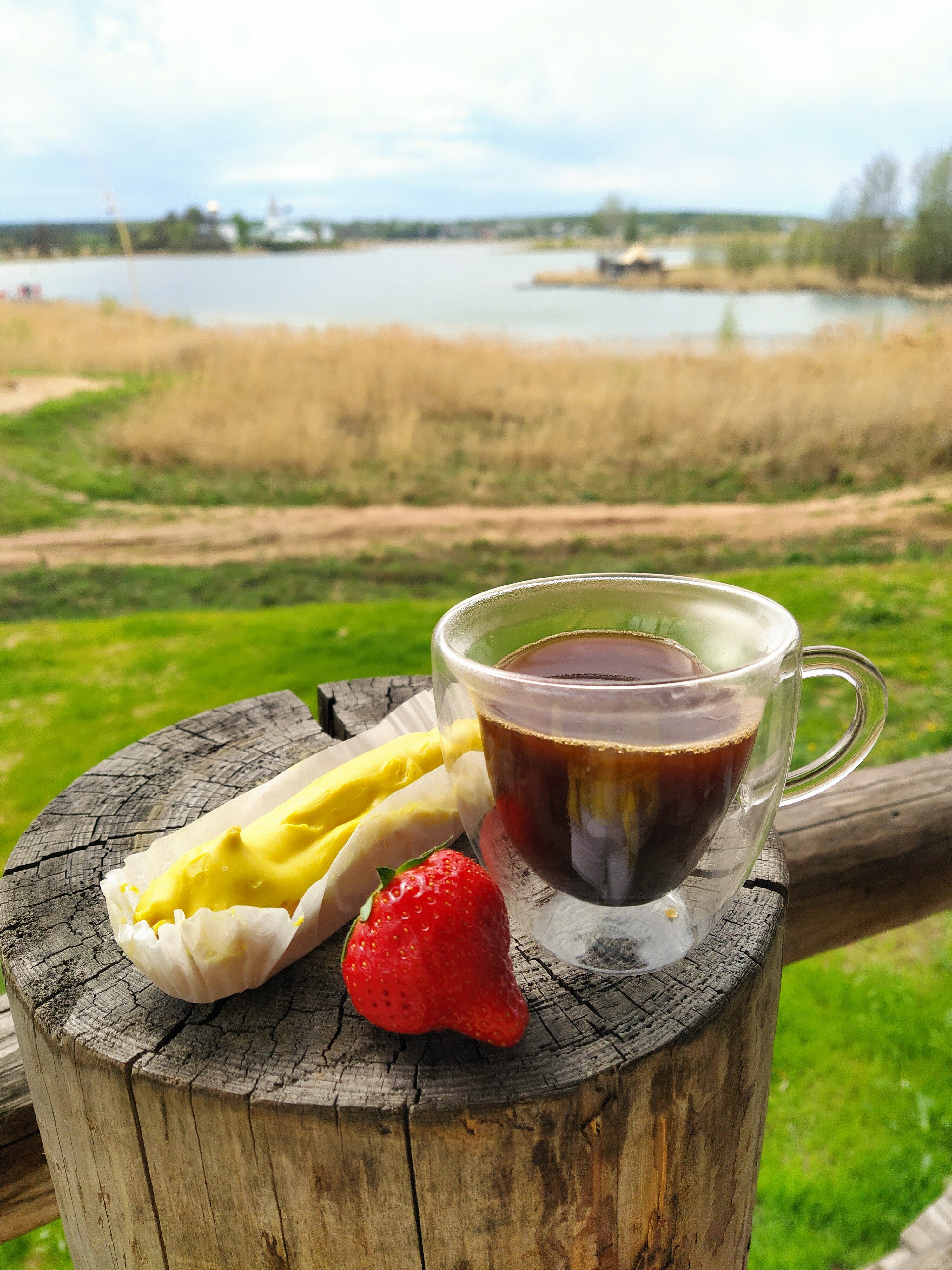 Фото Медведь