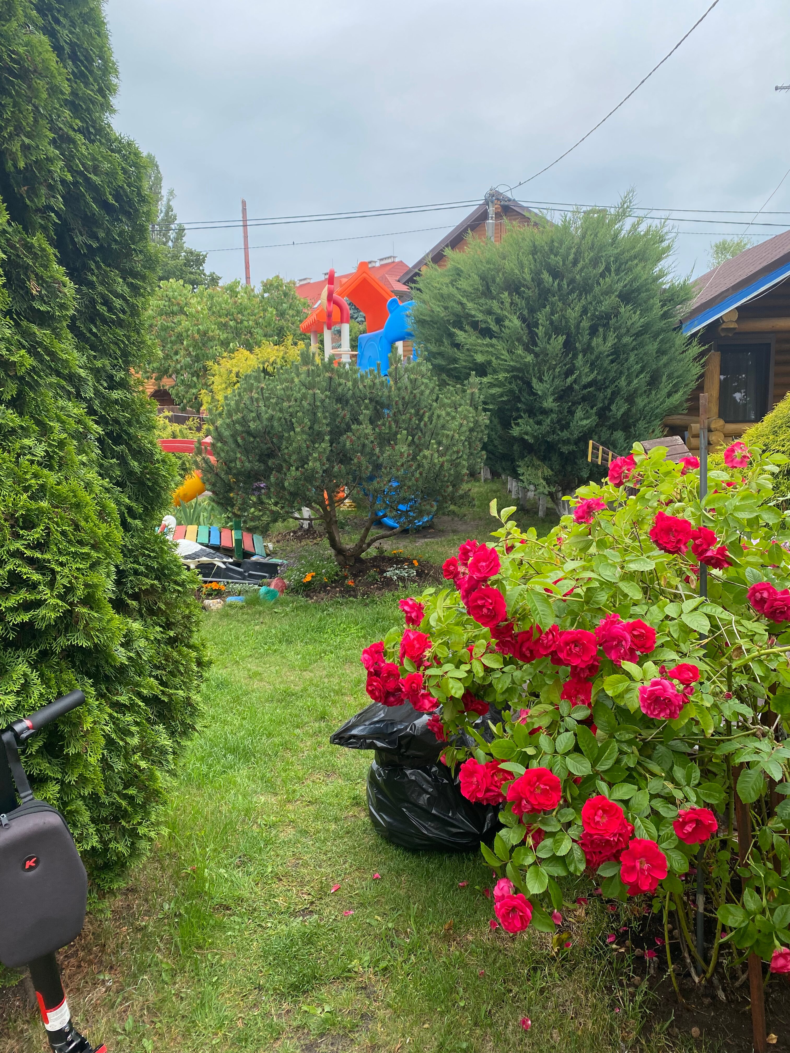 Фото Элиза Заркау