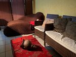 Совершенство (ул. Рылеева, 11, Ульяновск), массажный салон в Ульяновске