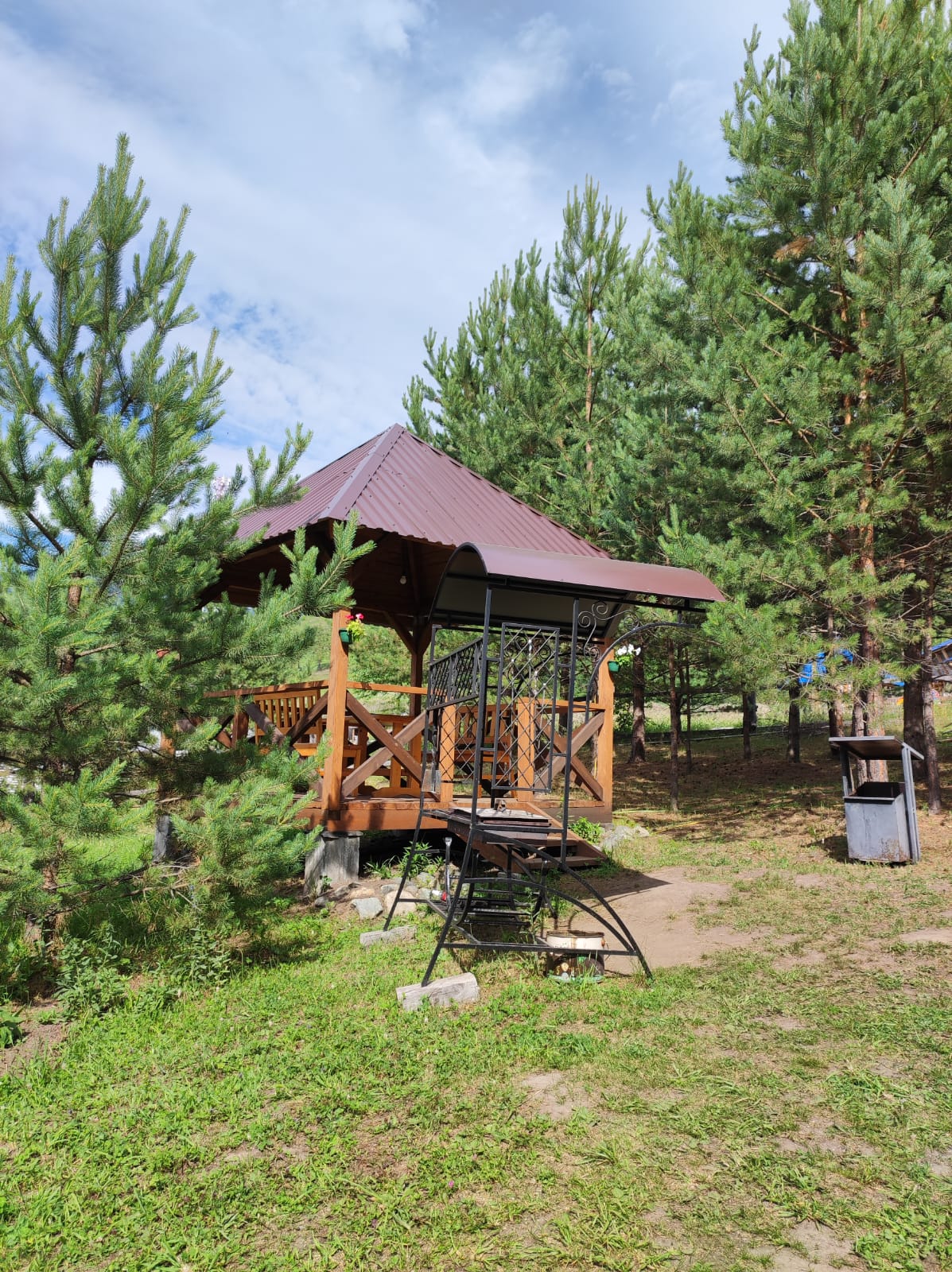 Фото Шишкин лес