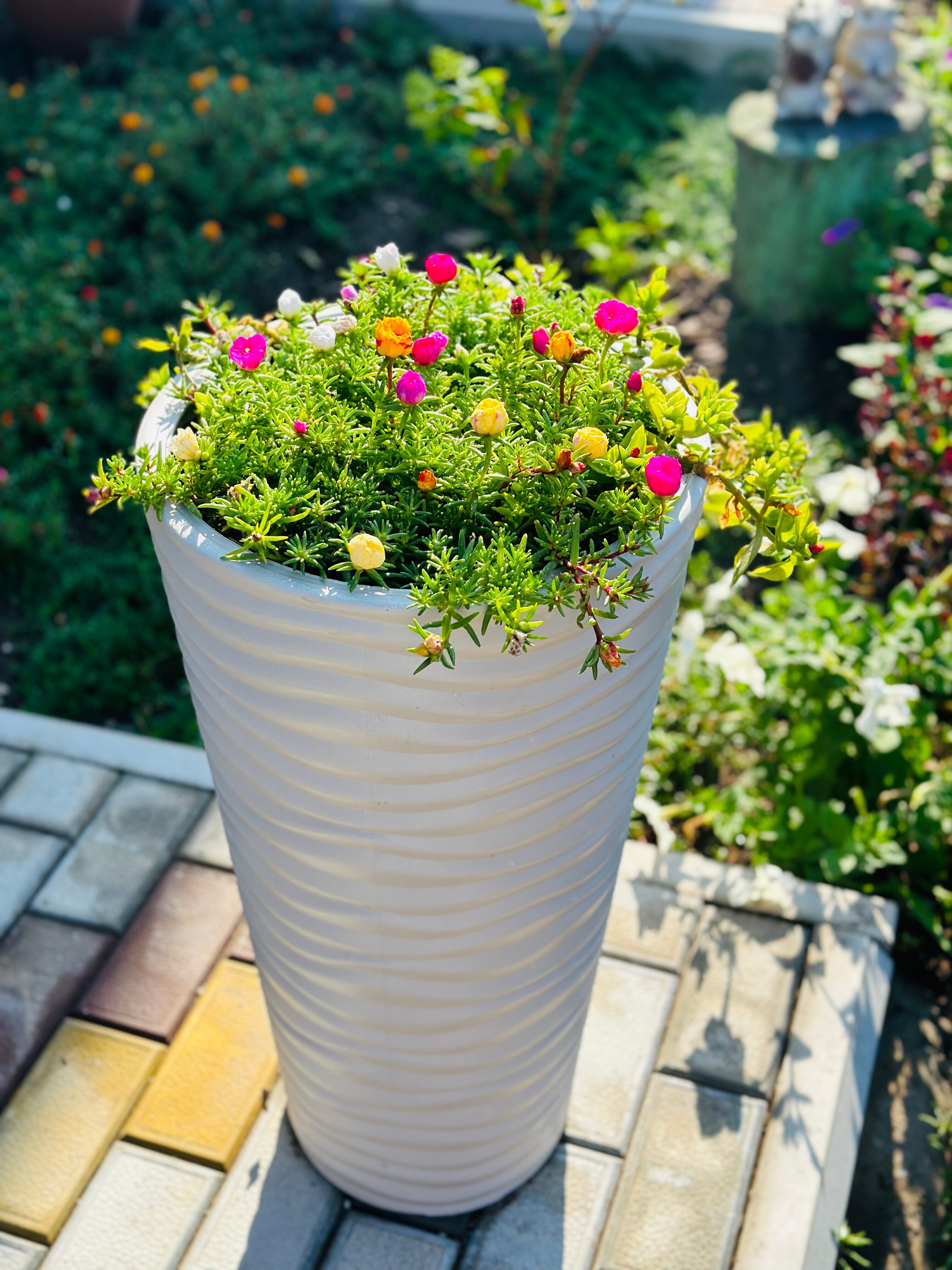 Фото Татьяна