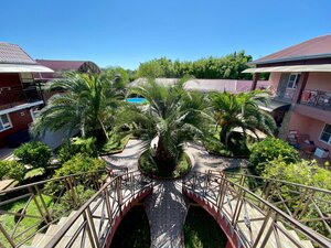 Розовый Фламинго