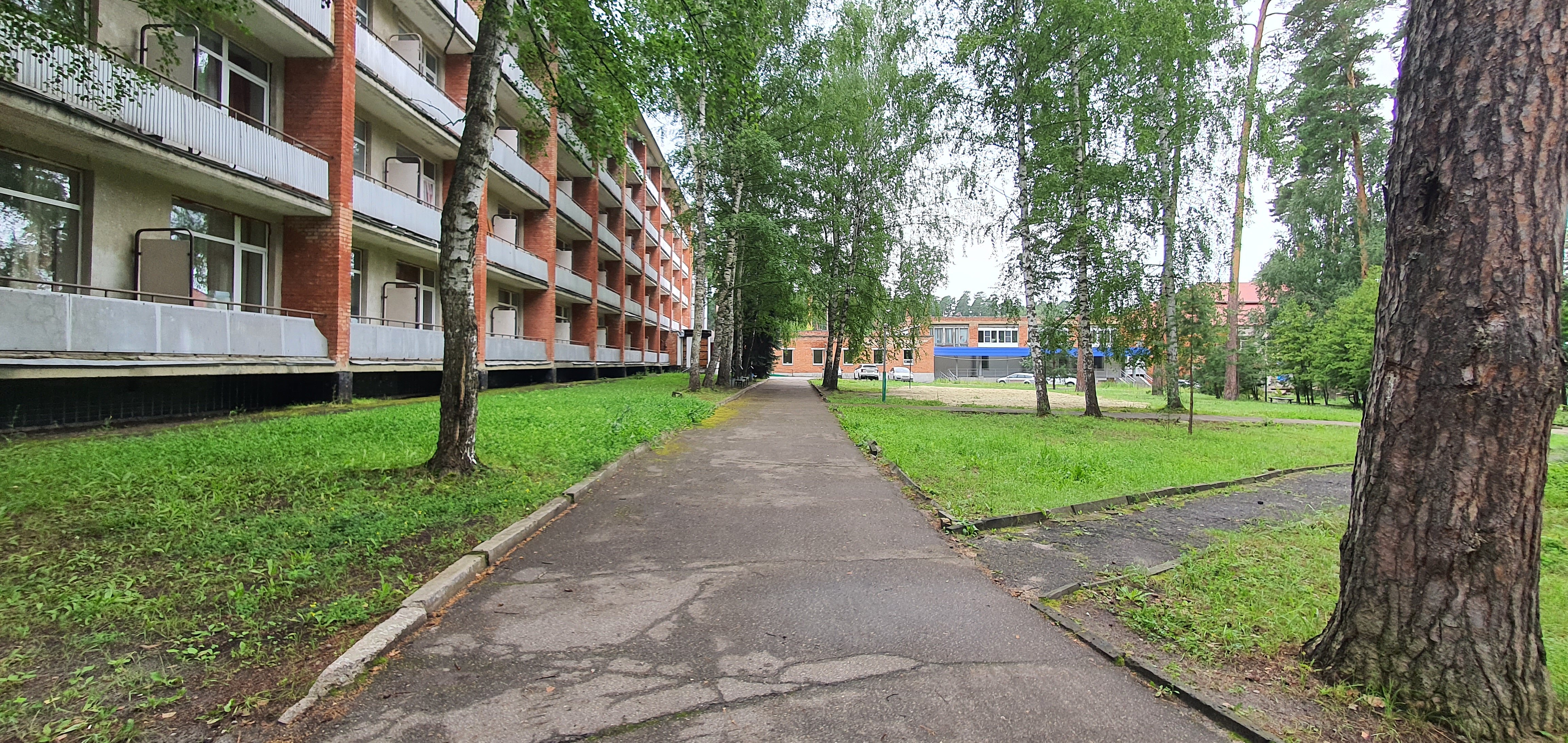 Фото ПроЛес