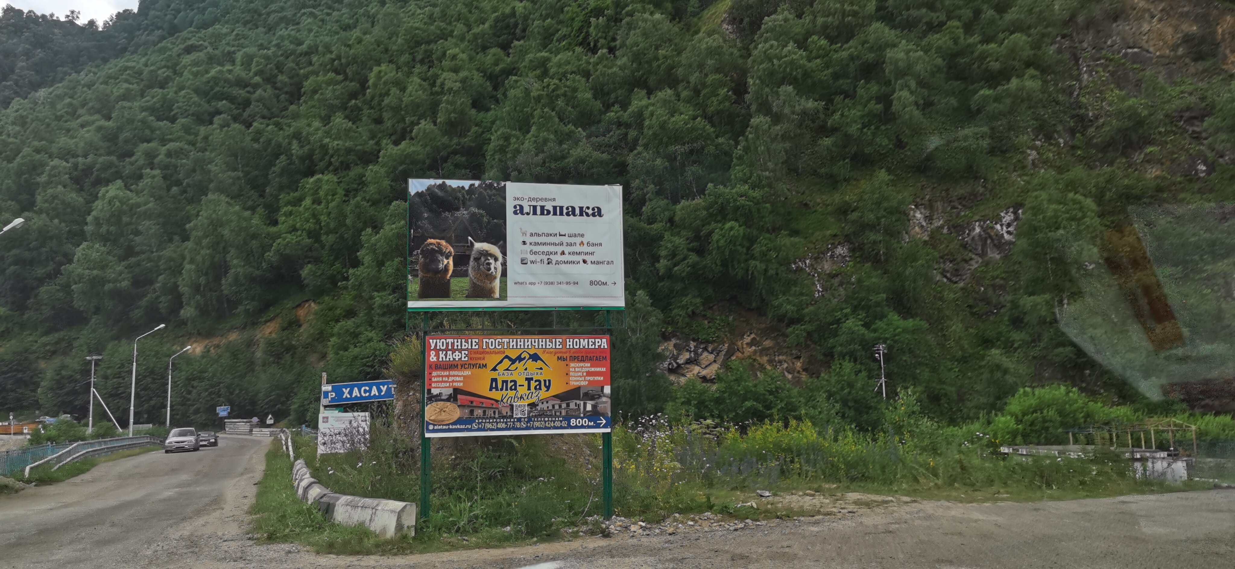 Фото Альпака