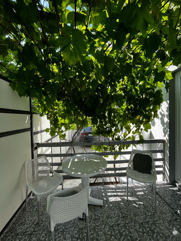 Фото Южная Роза