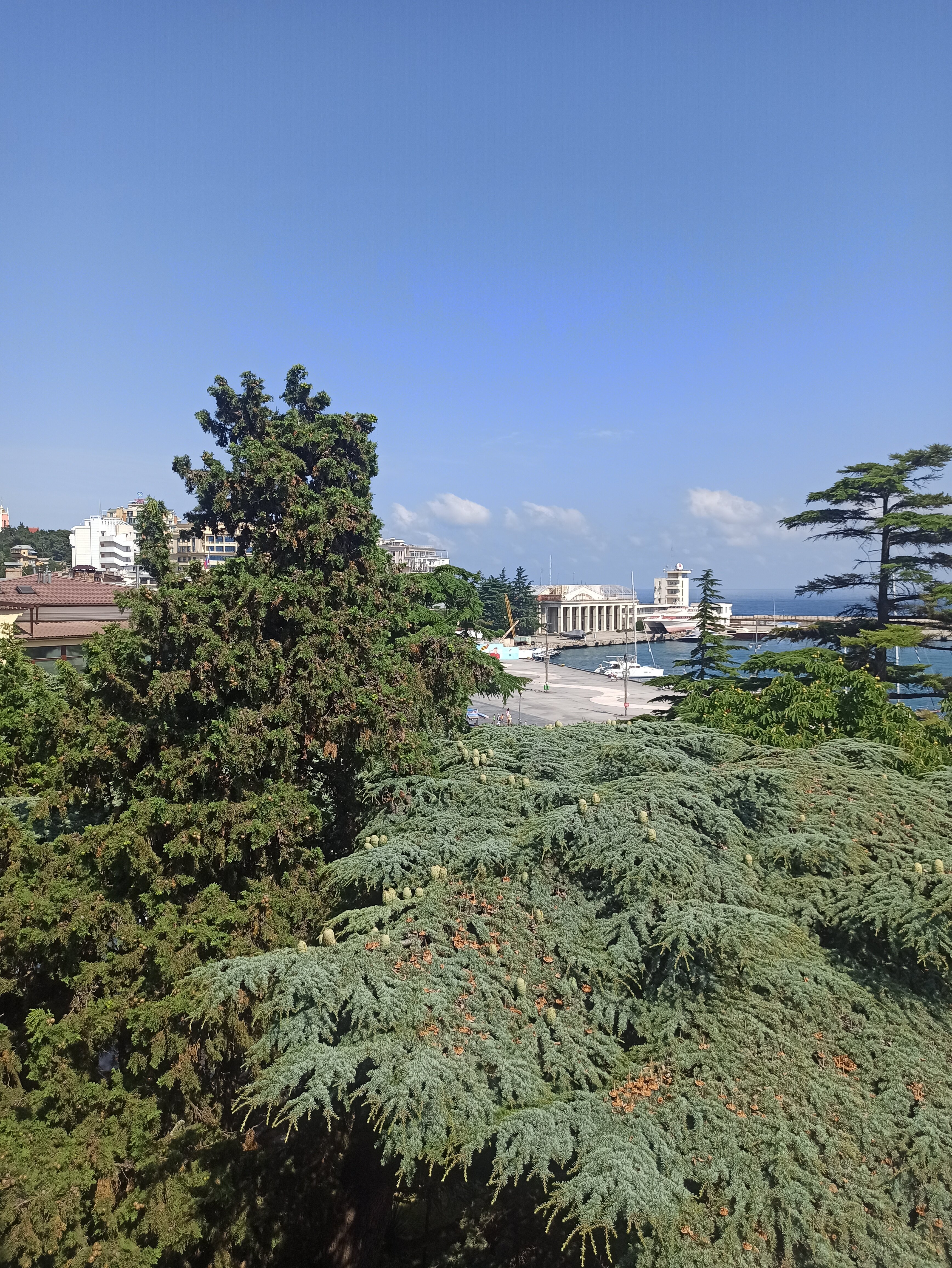 Фото Чайкин Дом