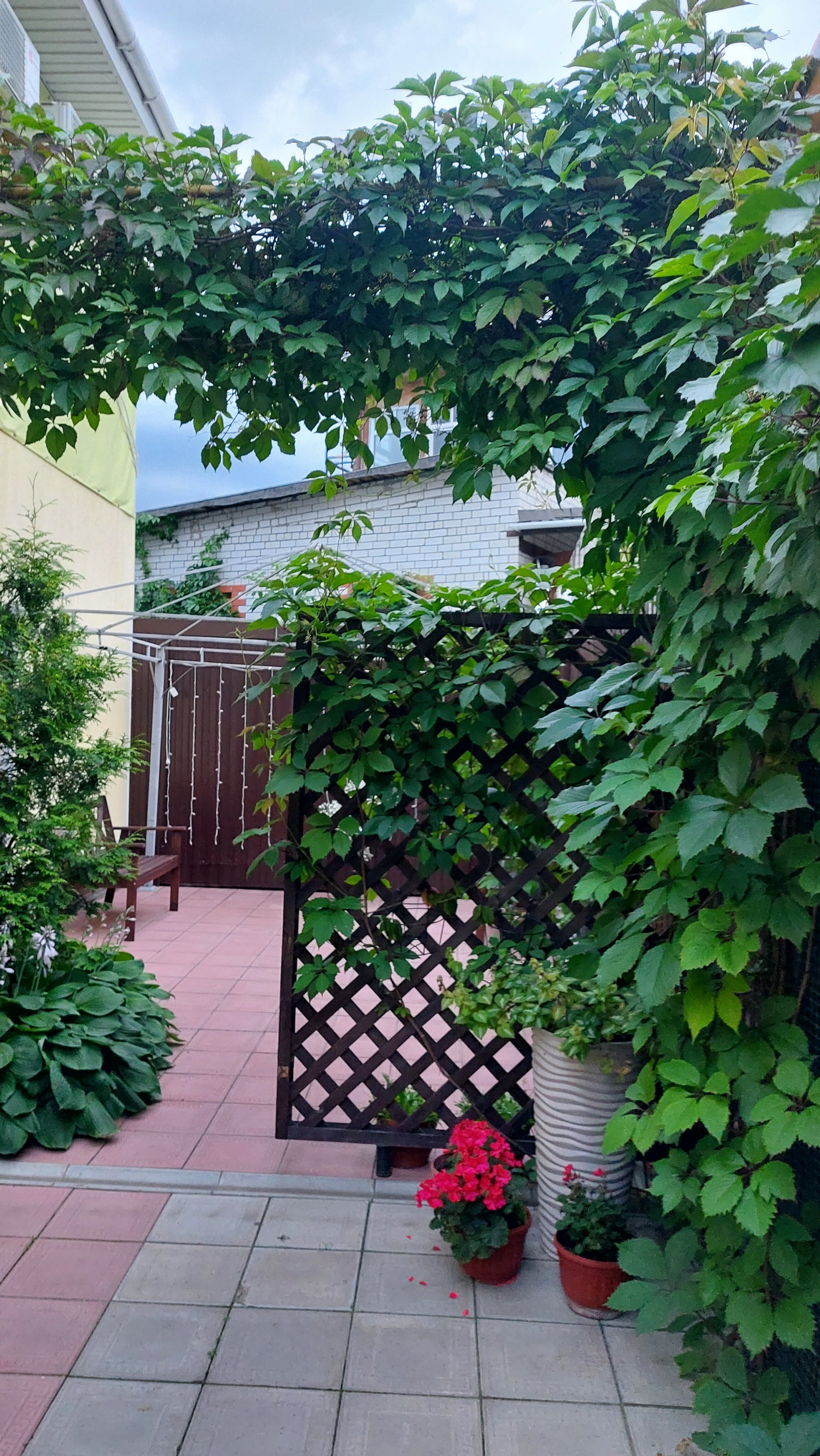 Фото Амосов