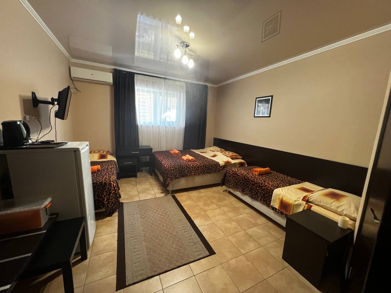 Фото Приветливый