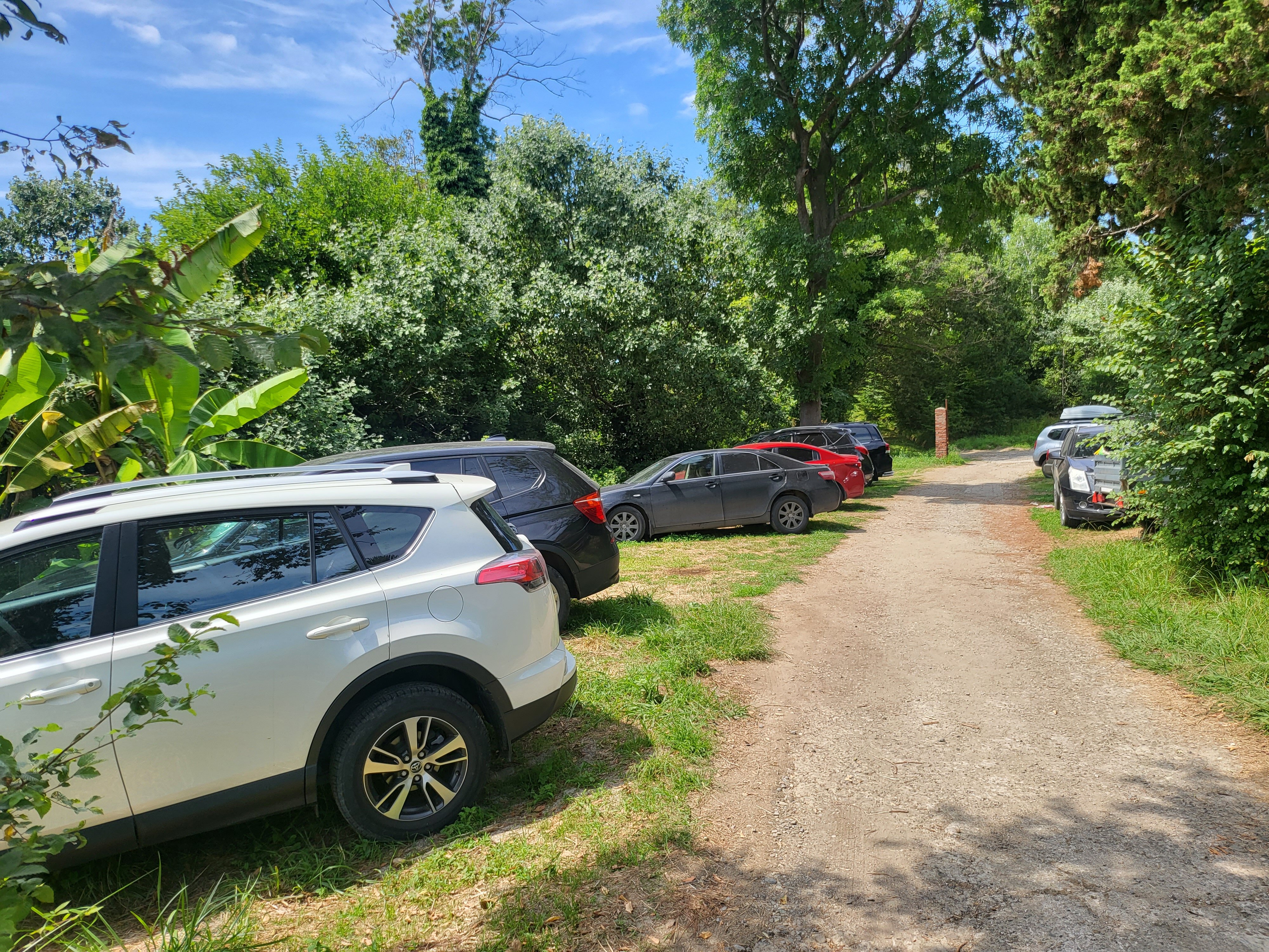 Фото Чемитка