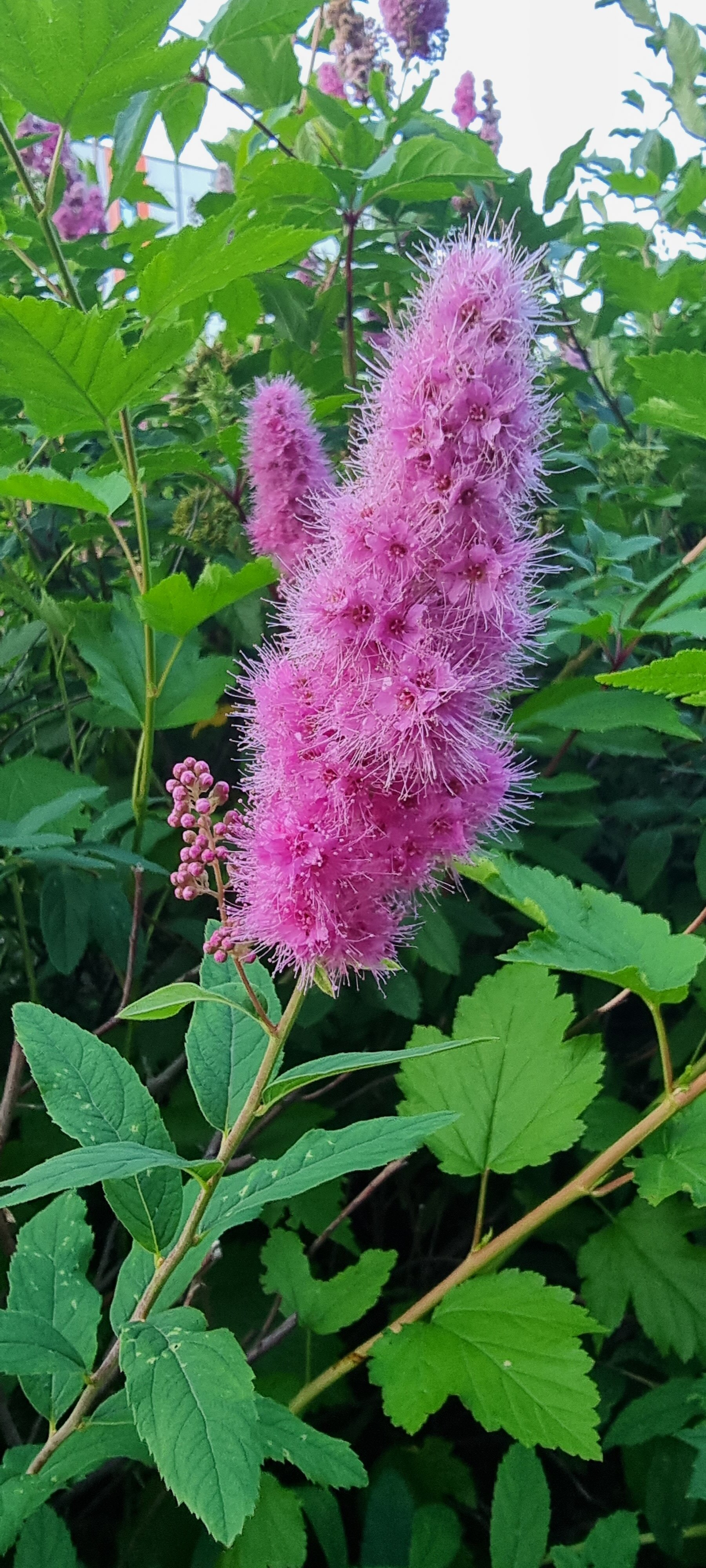 Фото Свежий ветер