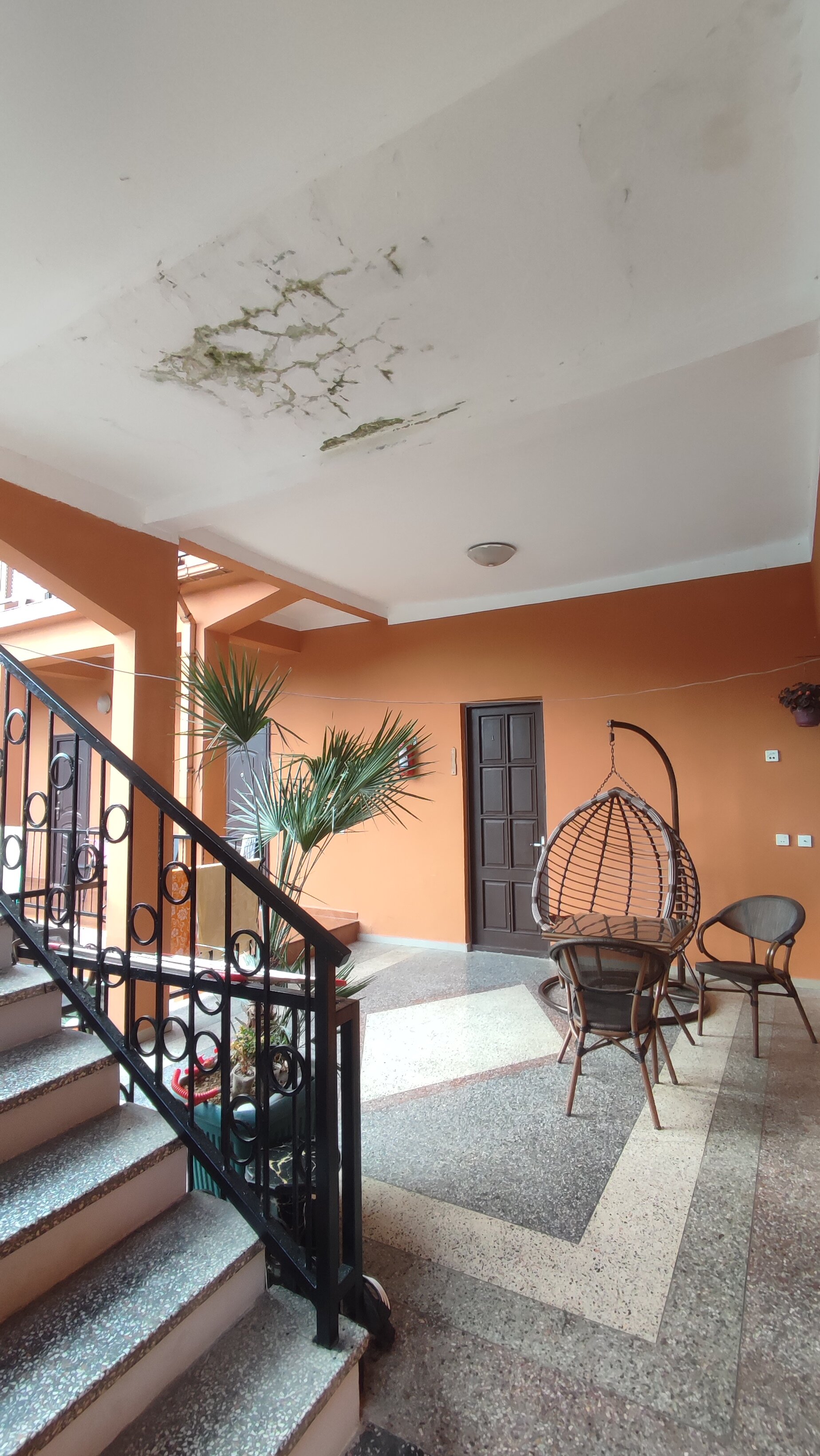 Фото 209409535709