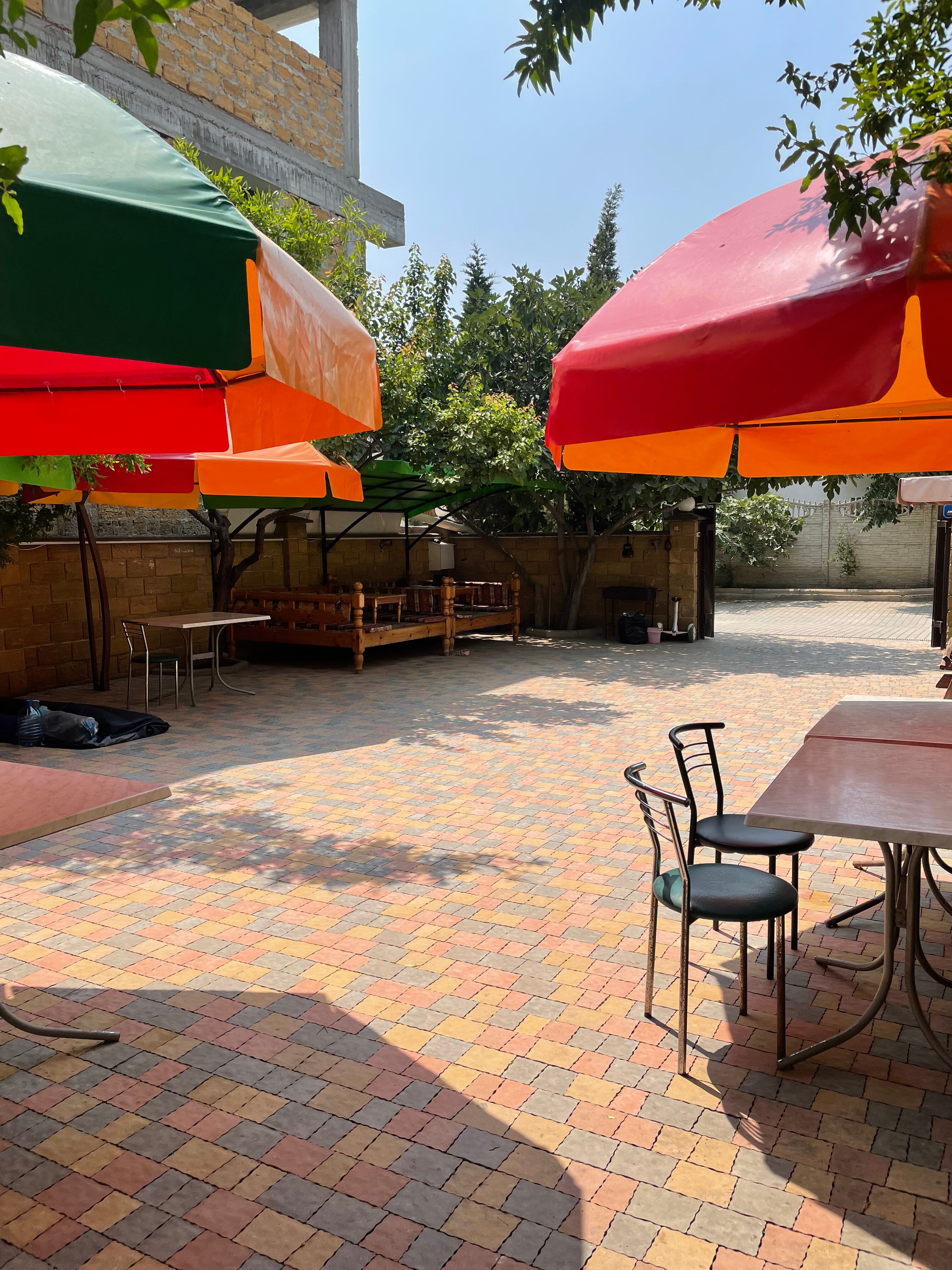 Фото Кипарис