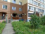 Гарант-Гео (Arkadiya Gaydara Street, 1), survey works