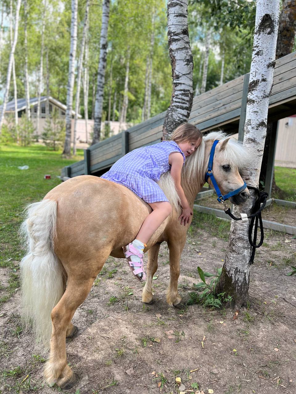 Фото Сканди хаус