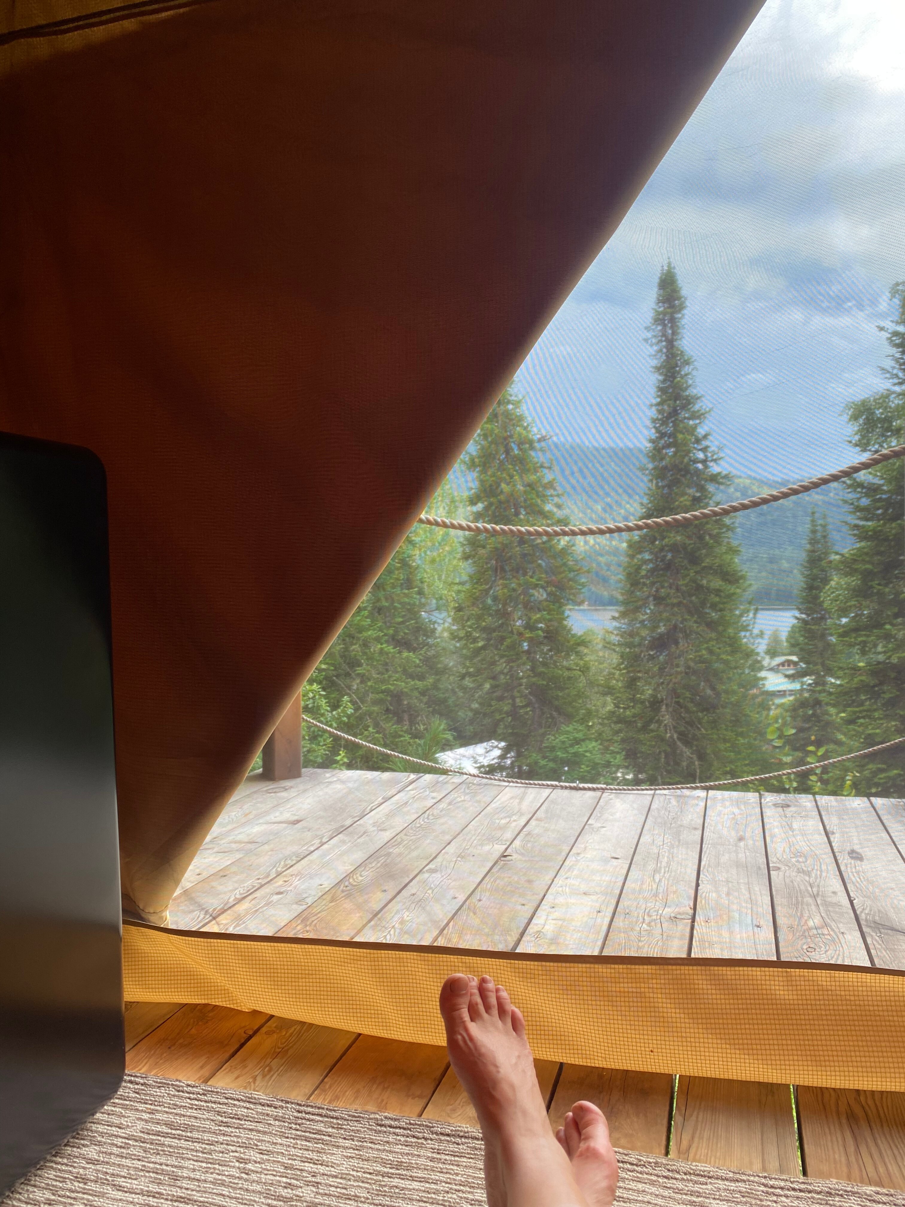 Фото Кедровая берлога