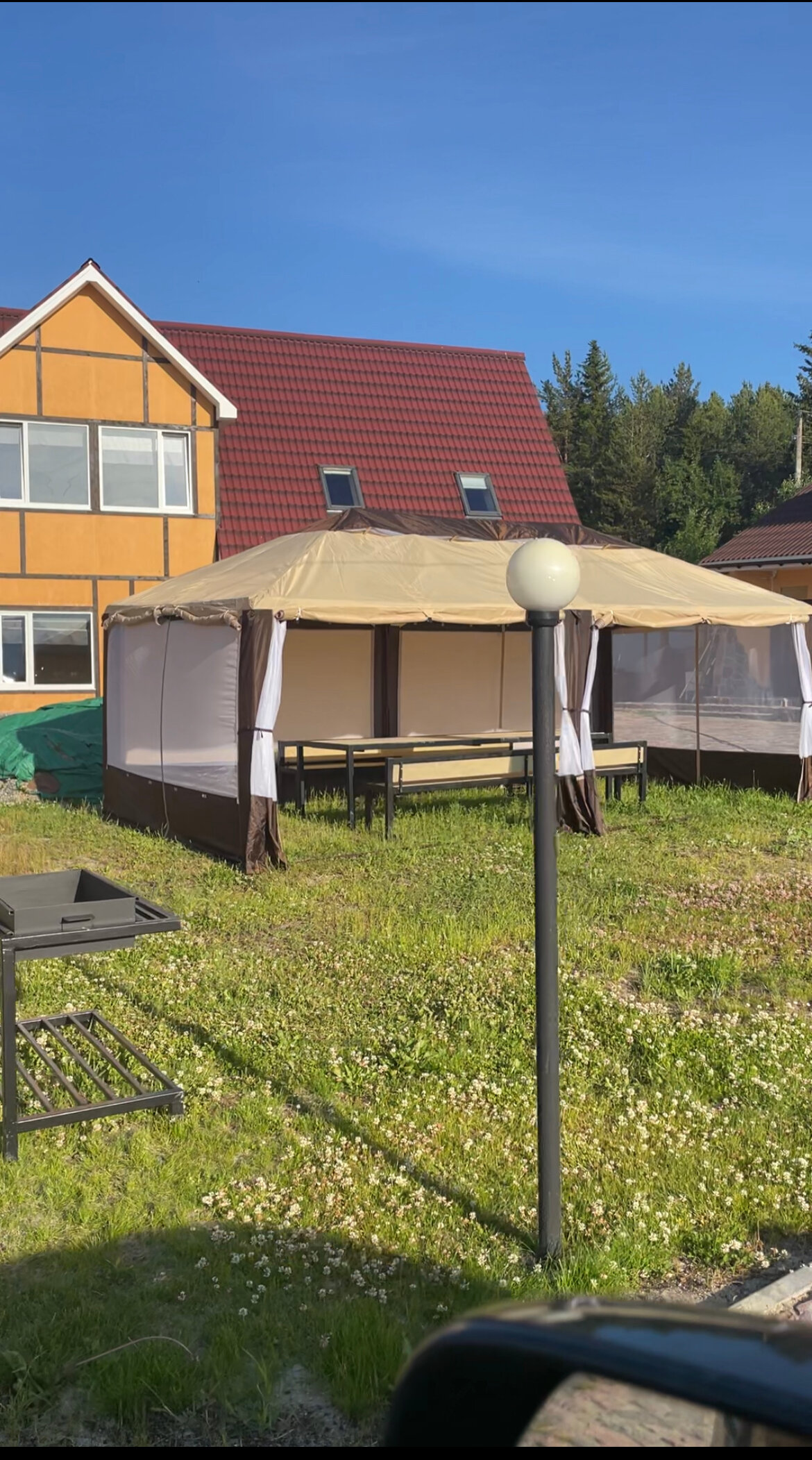 Фото 4 Ягоды