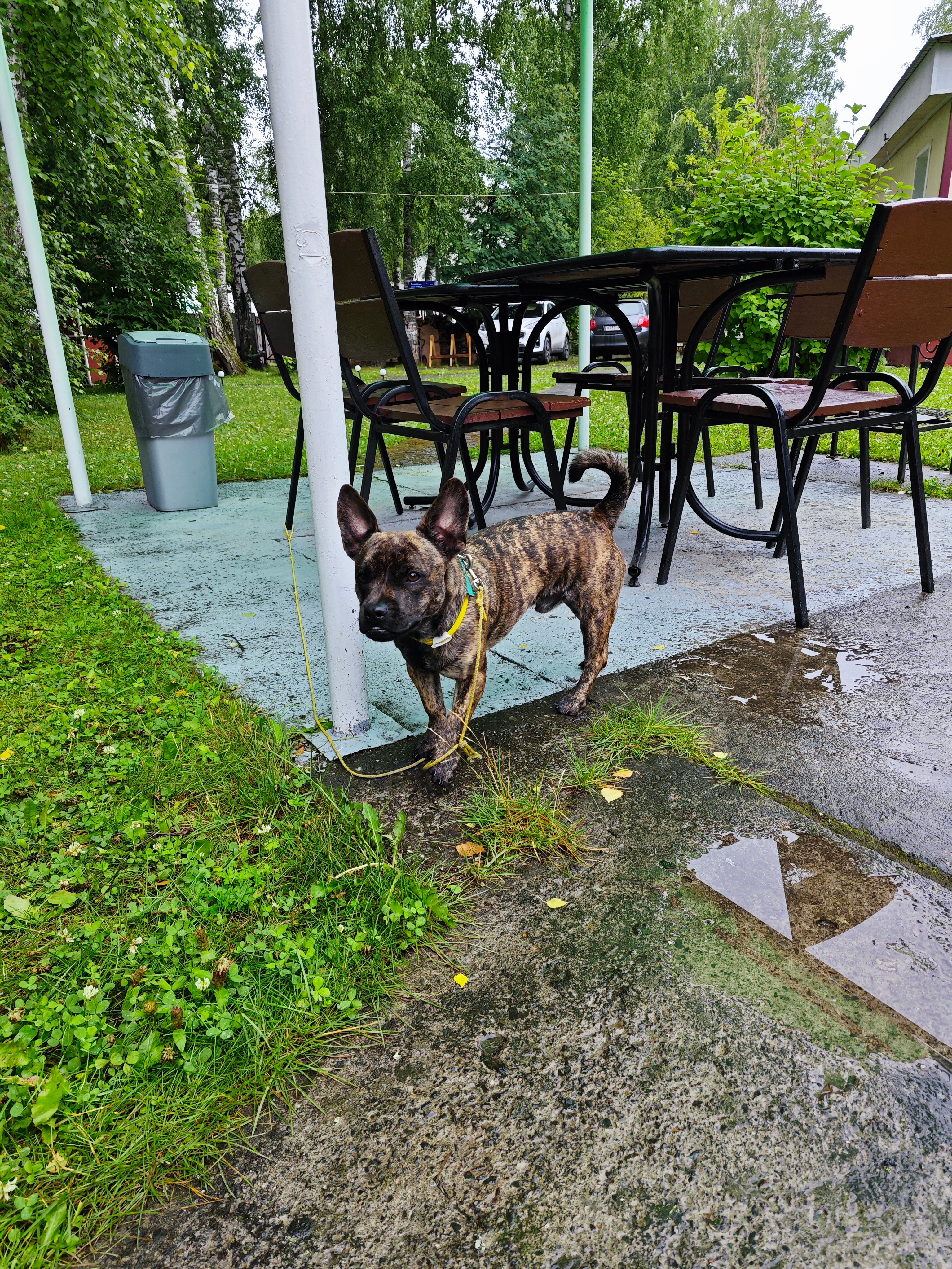 Фото Семейный Уют