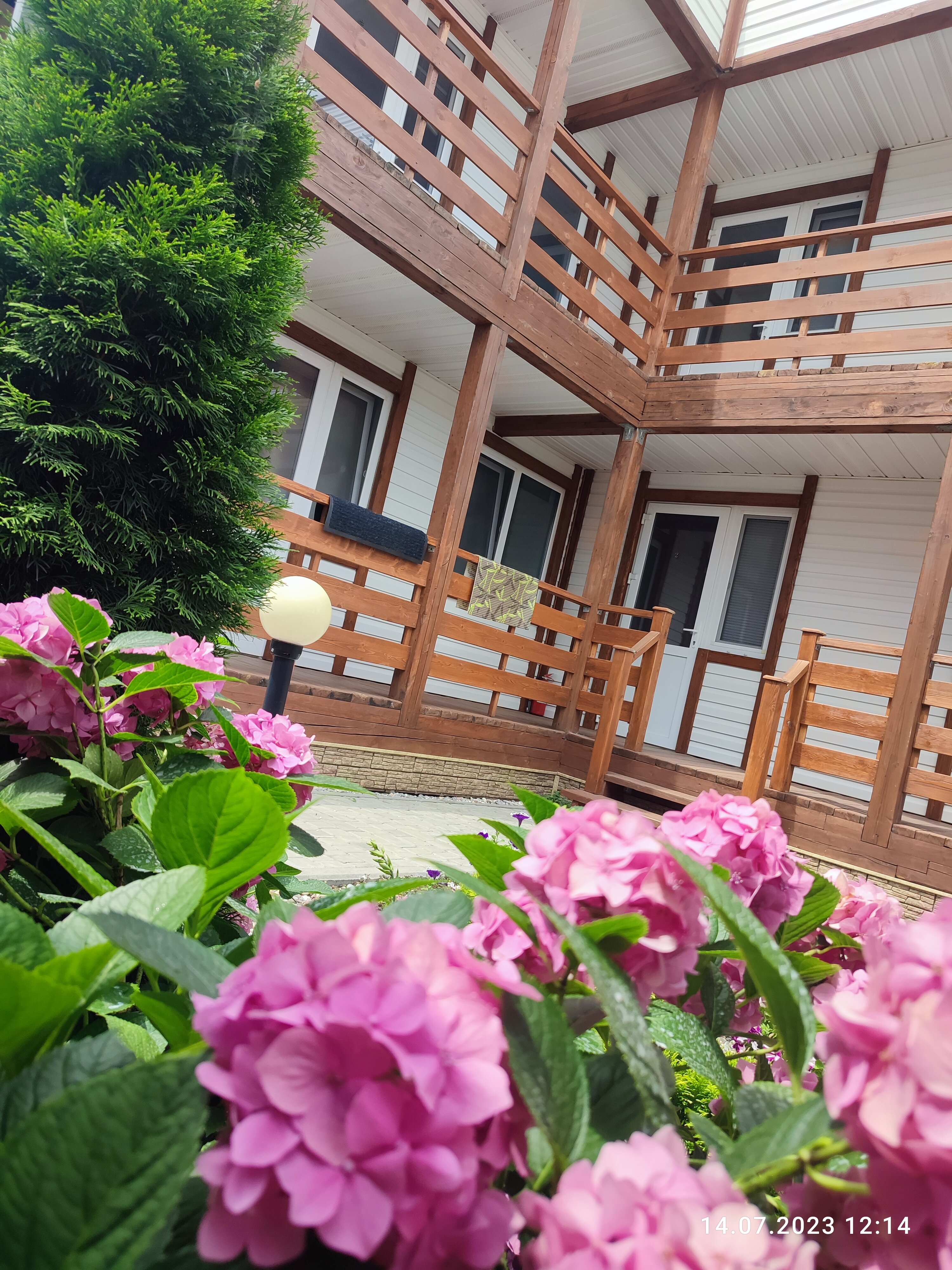 Фото Пилигрим