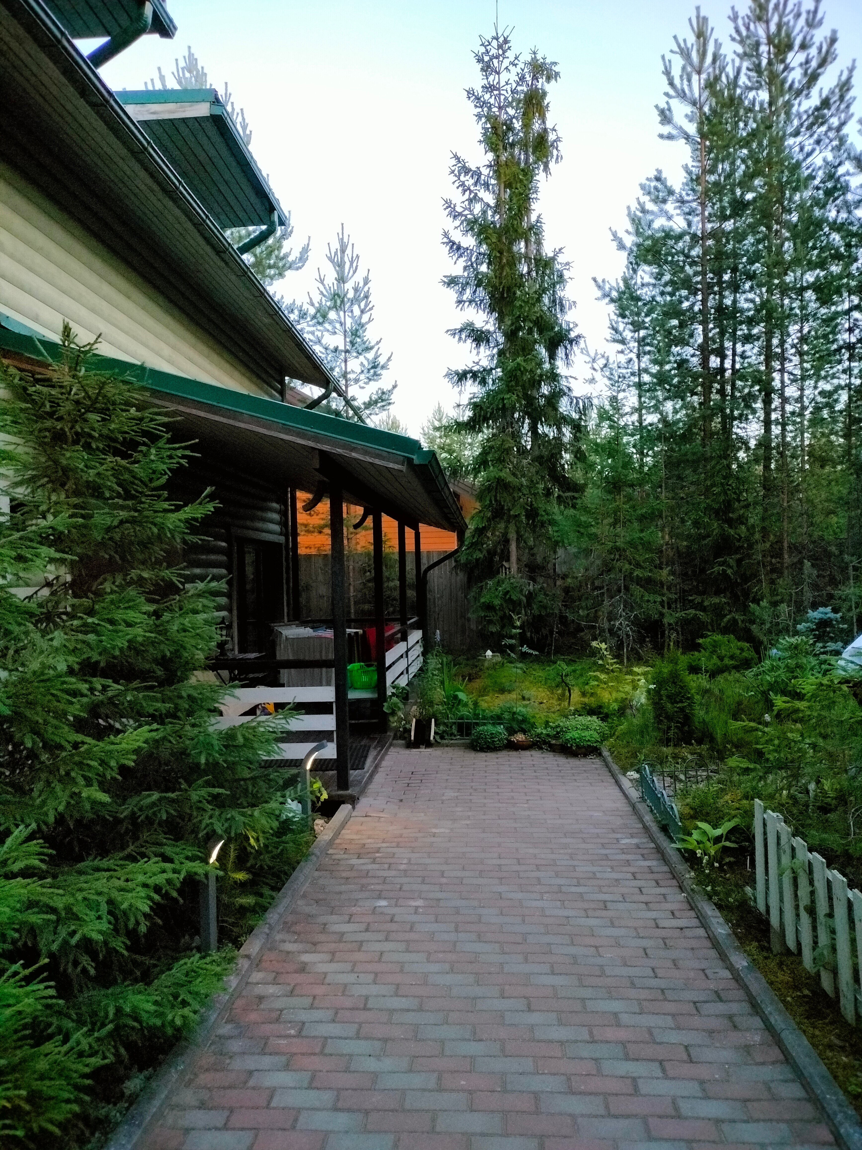 Фото Хвойный