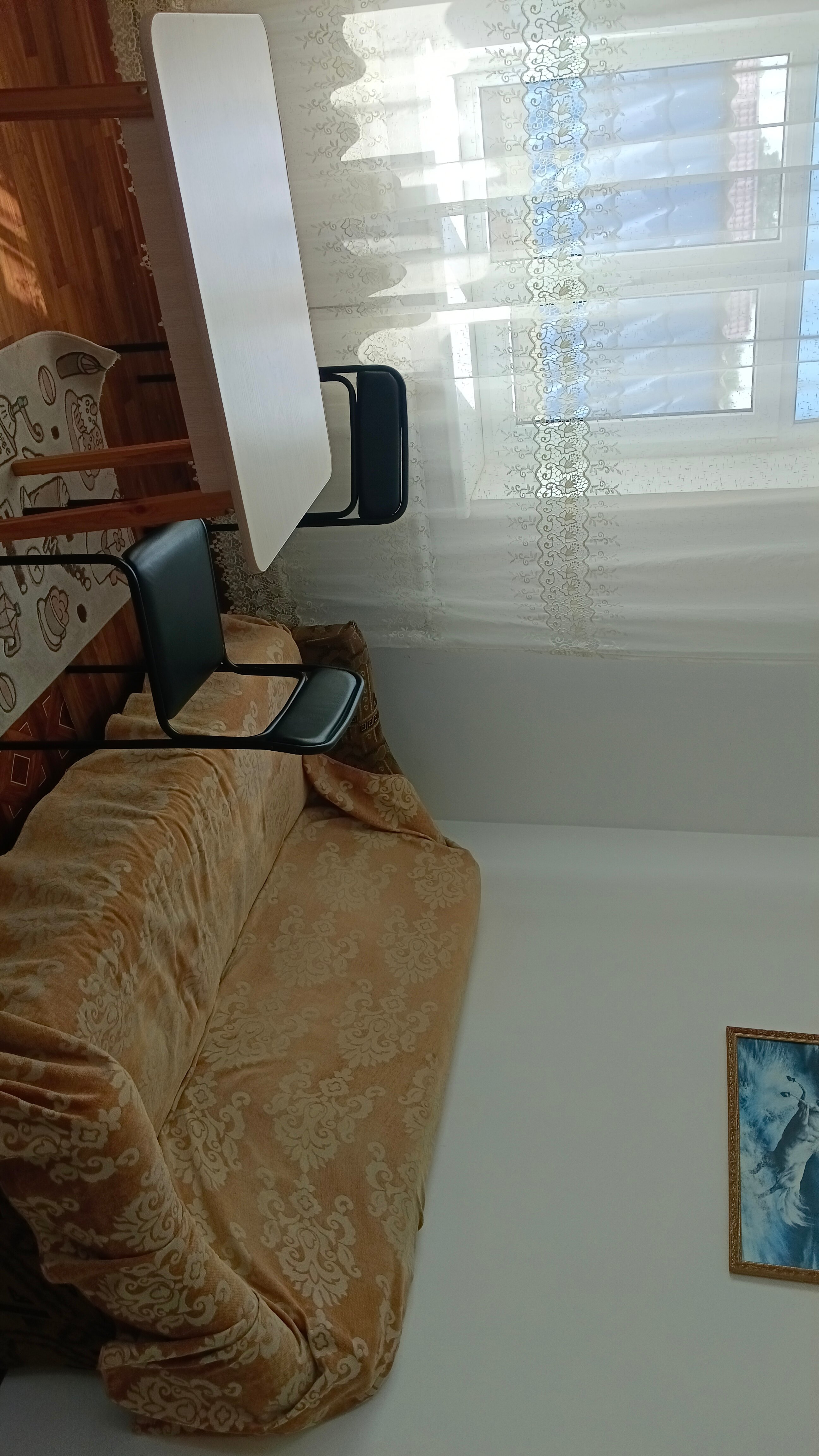 Фото Ласточка