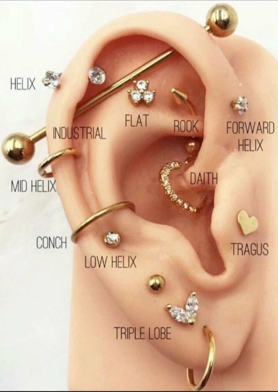 Pin on Tattoo Ideas Ear piercing diagram, Ear piercings, Cool ear piercings