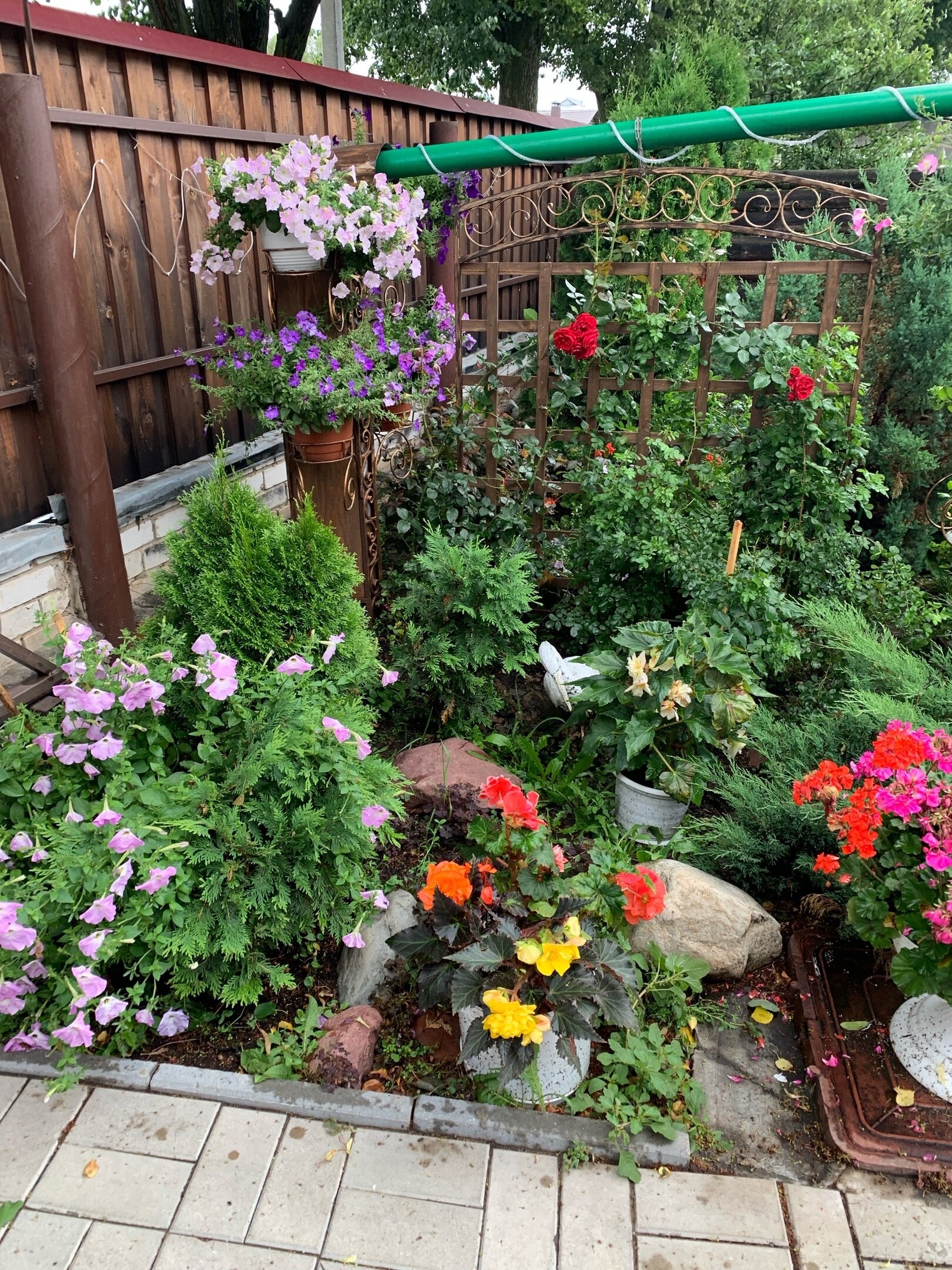 Фото Августин