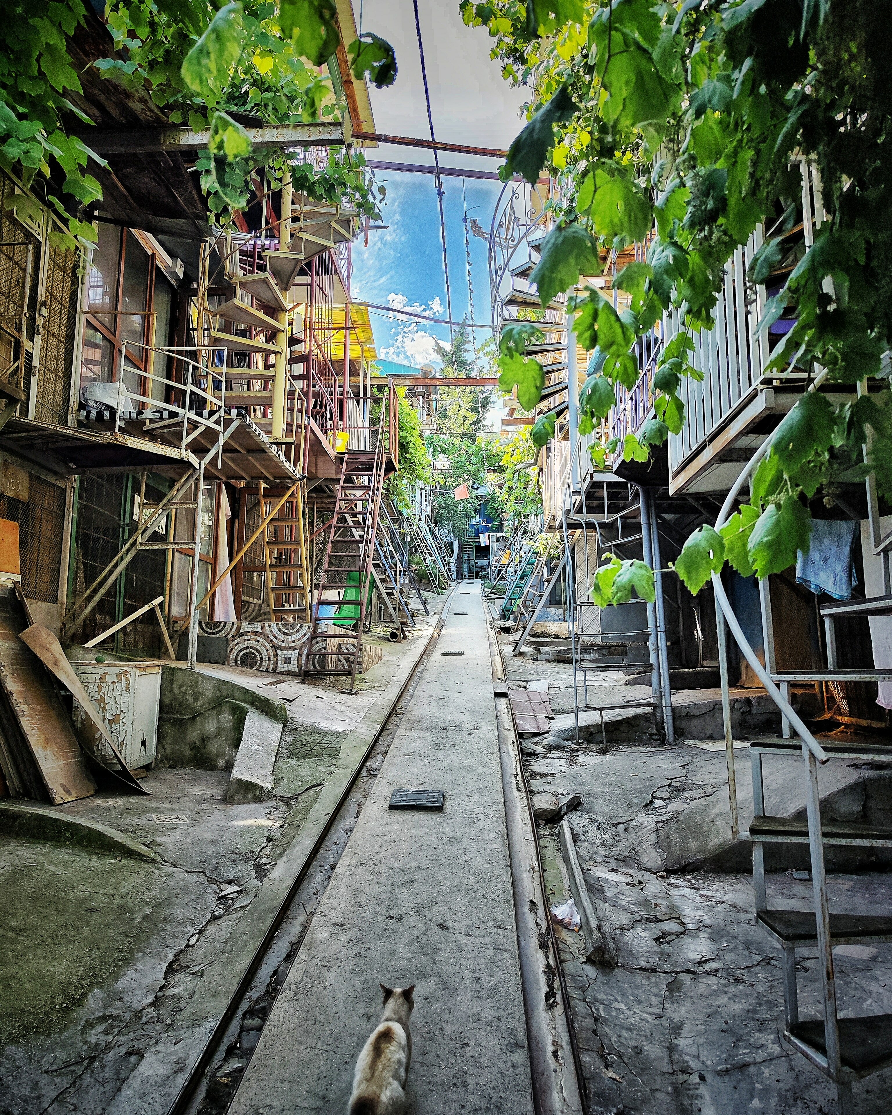 Фото Рыбачий Стан