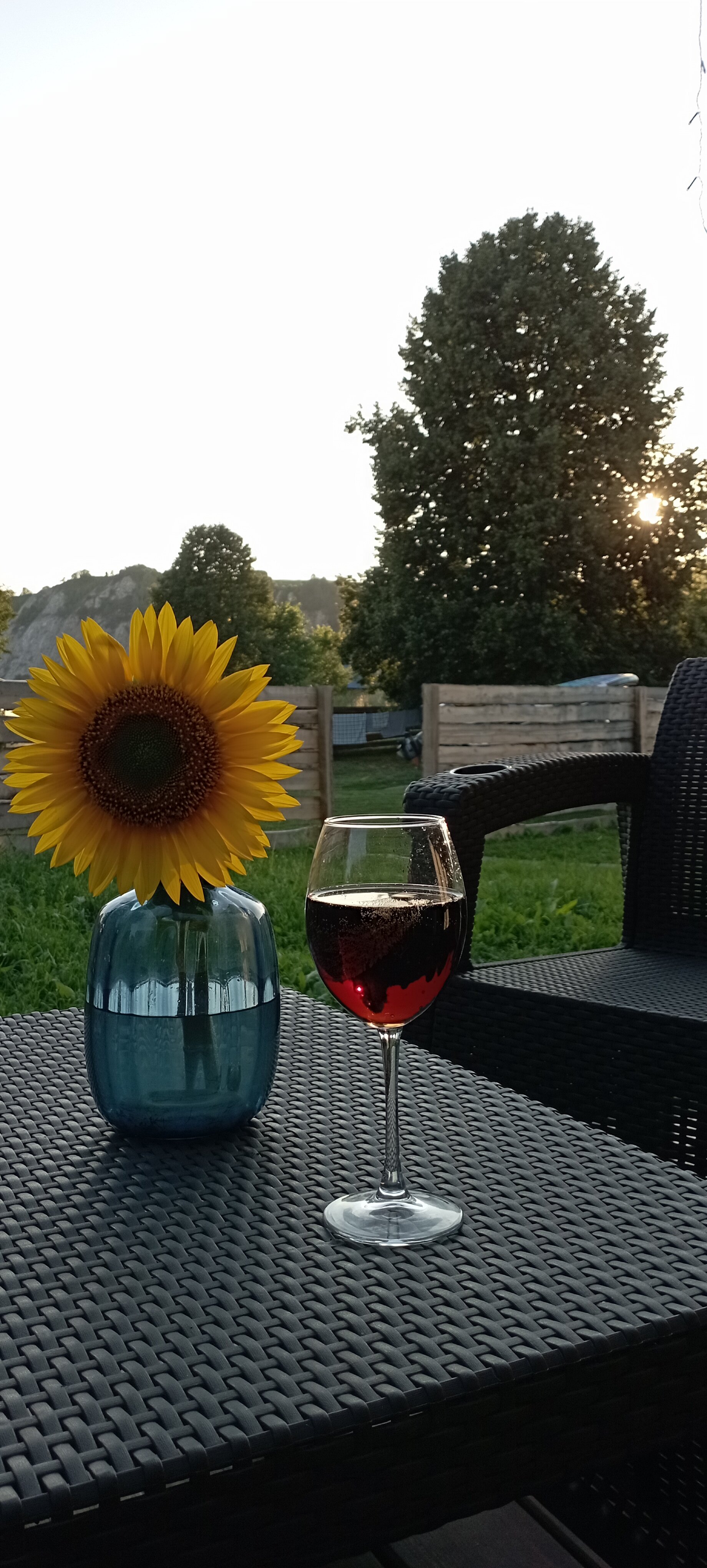 Фото Дача_РБ