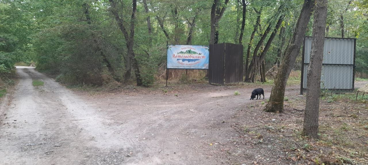 Фото Автомобилист