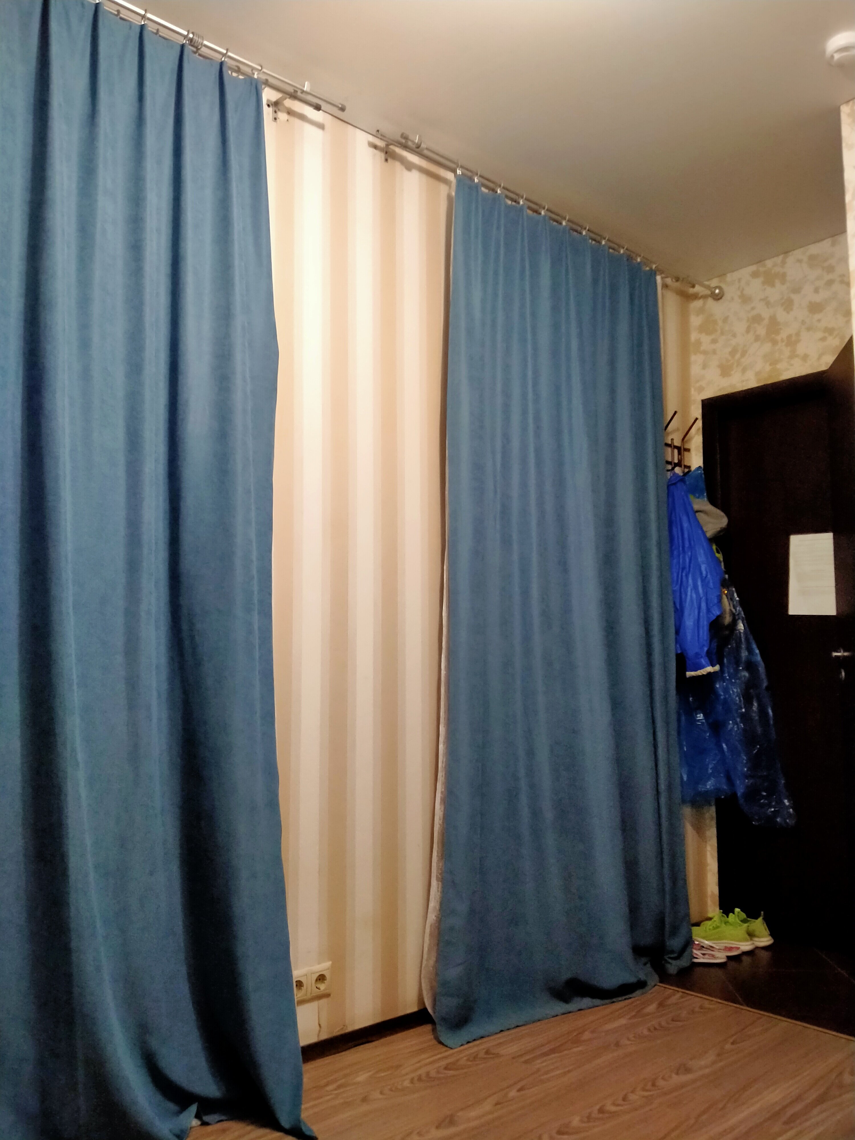 Фото Базилик