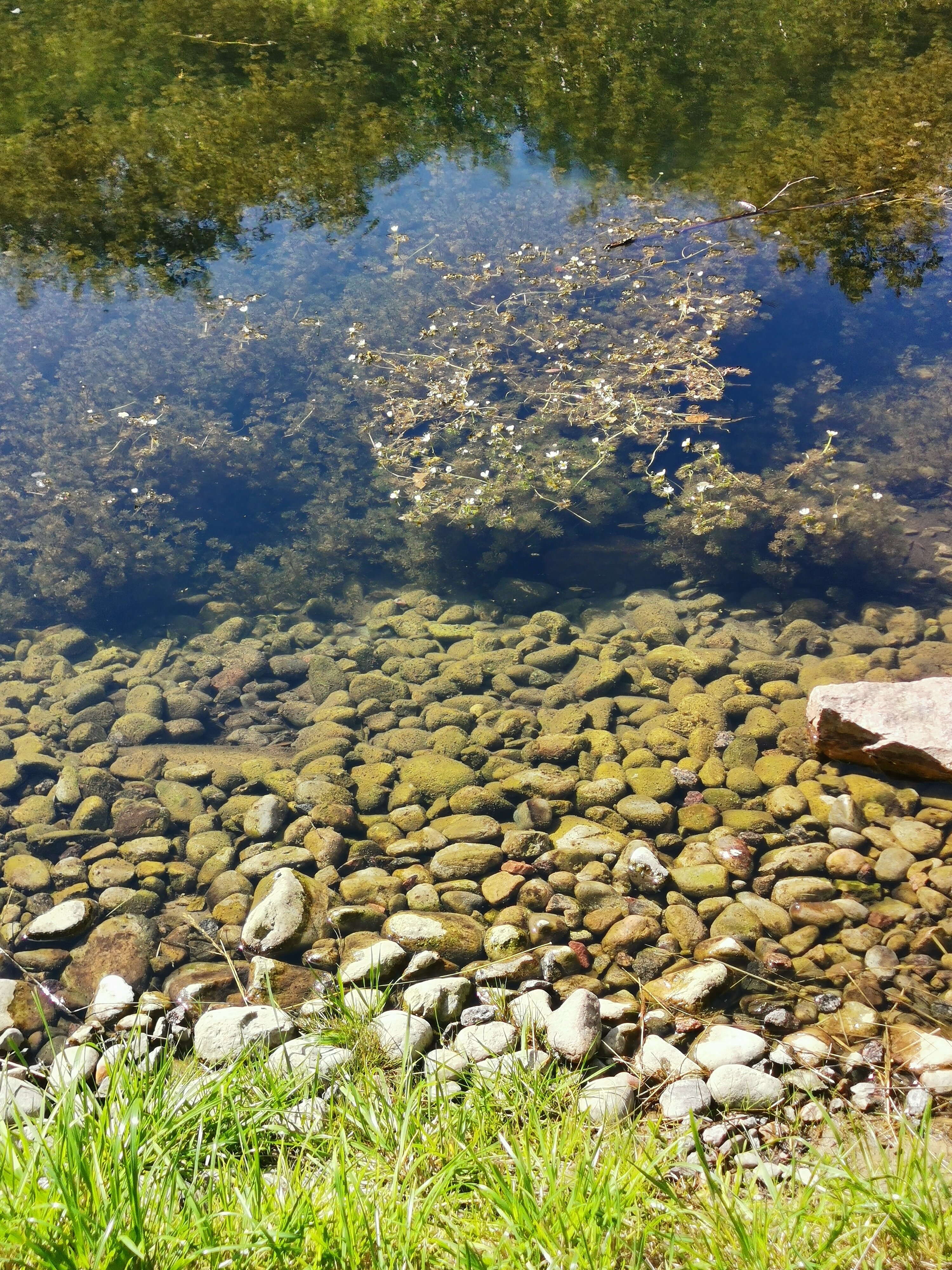 Фото Царская рыбалка