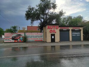 Auto Oil (Nikitinskiy Lane, 36), servicio de coches, centro de reparación de automóviles
