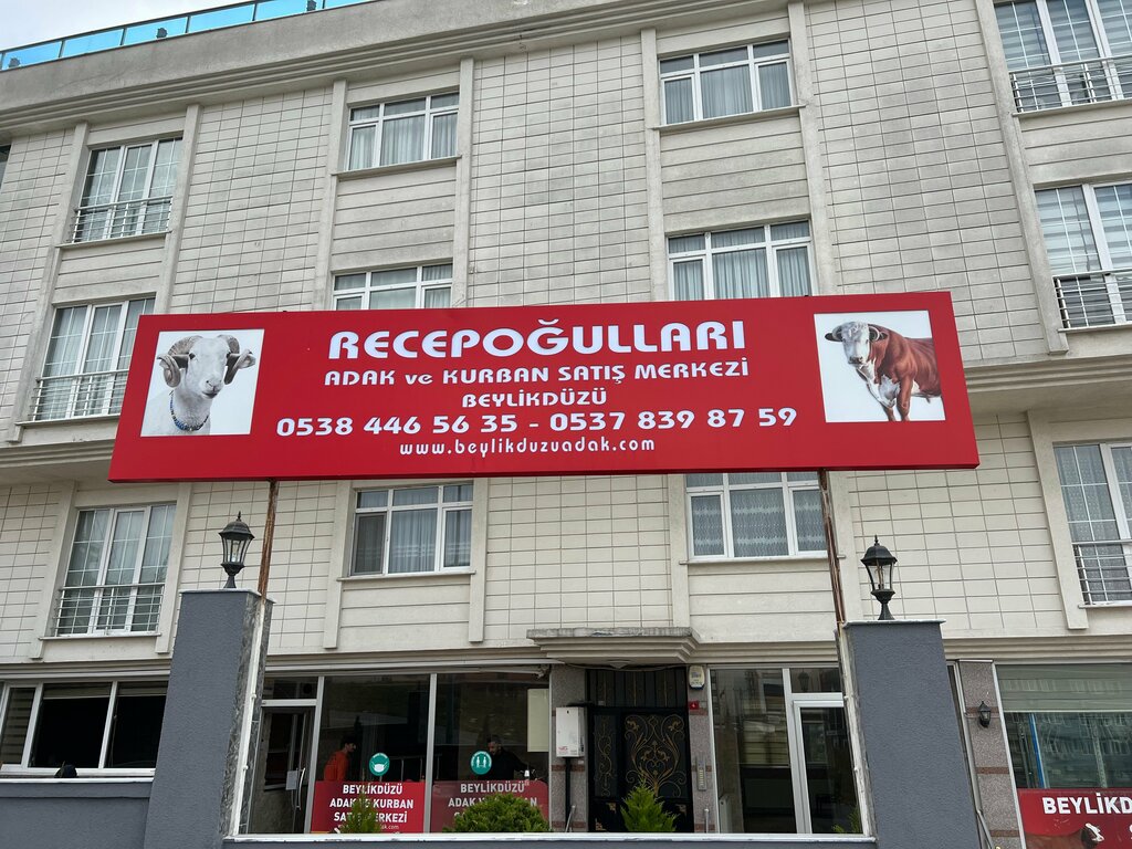 مزرعة ماشية Niyaziogullari Sacrificial Animal Sales Center ، ، صورة