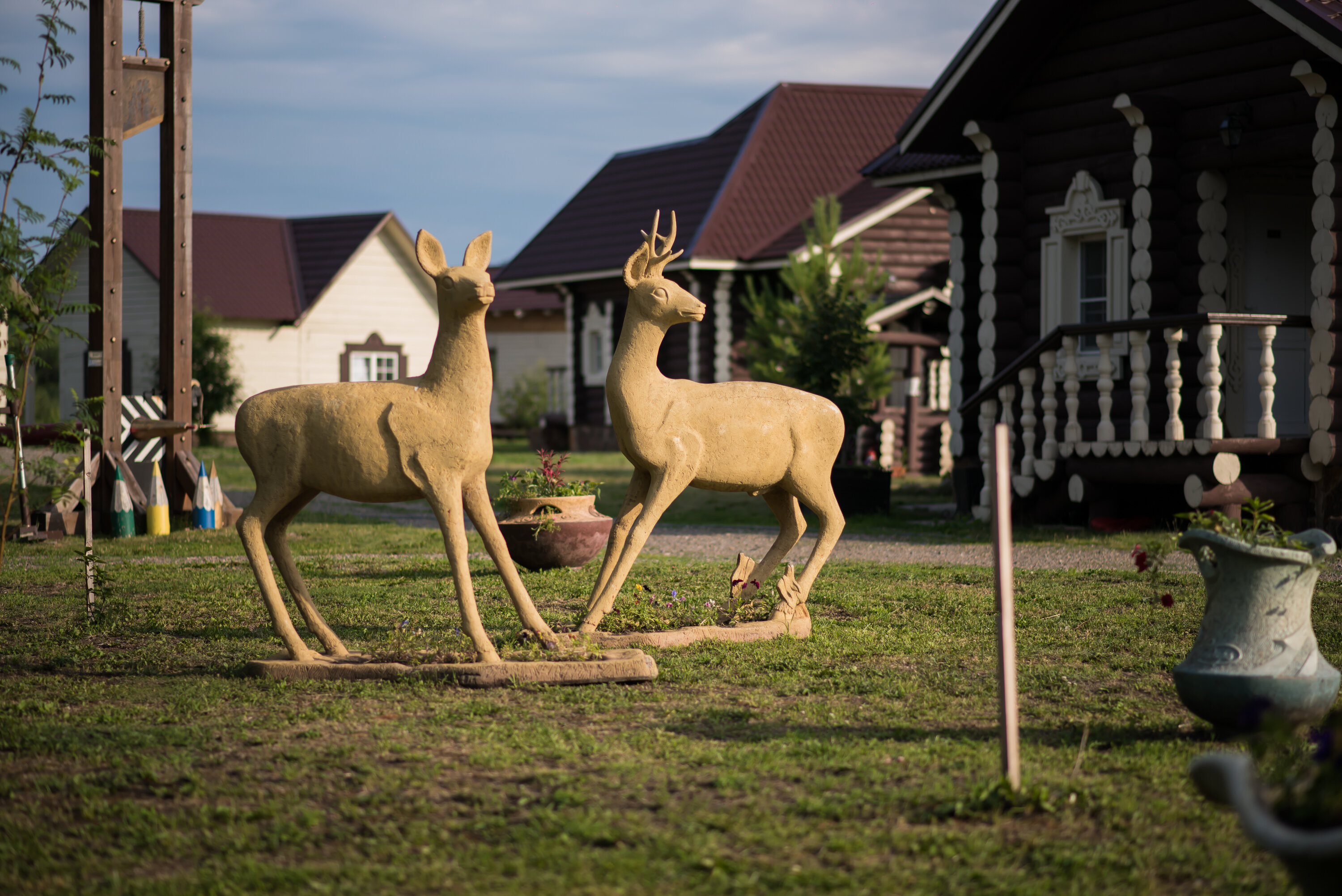 Фото Калина красная