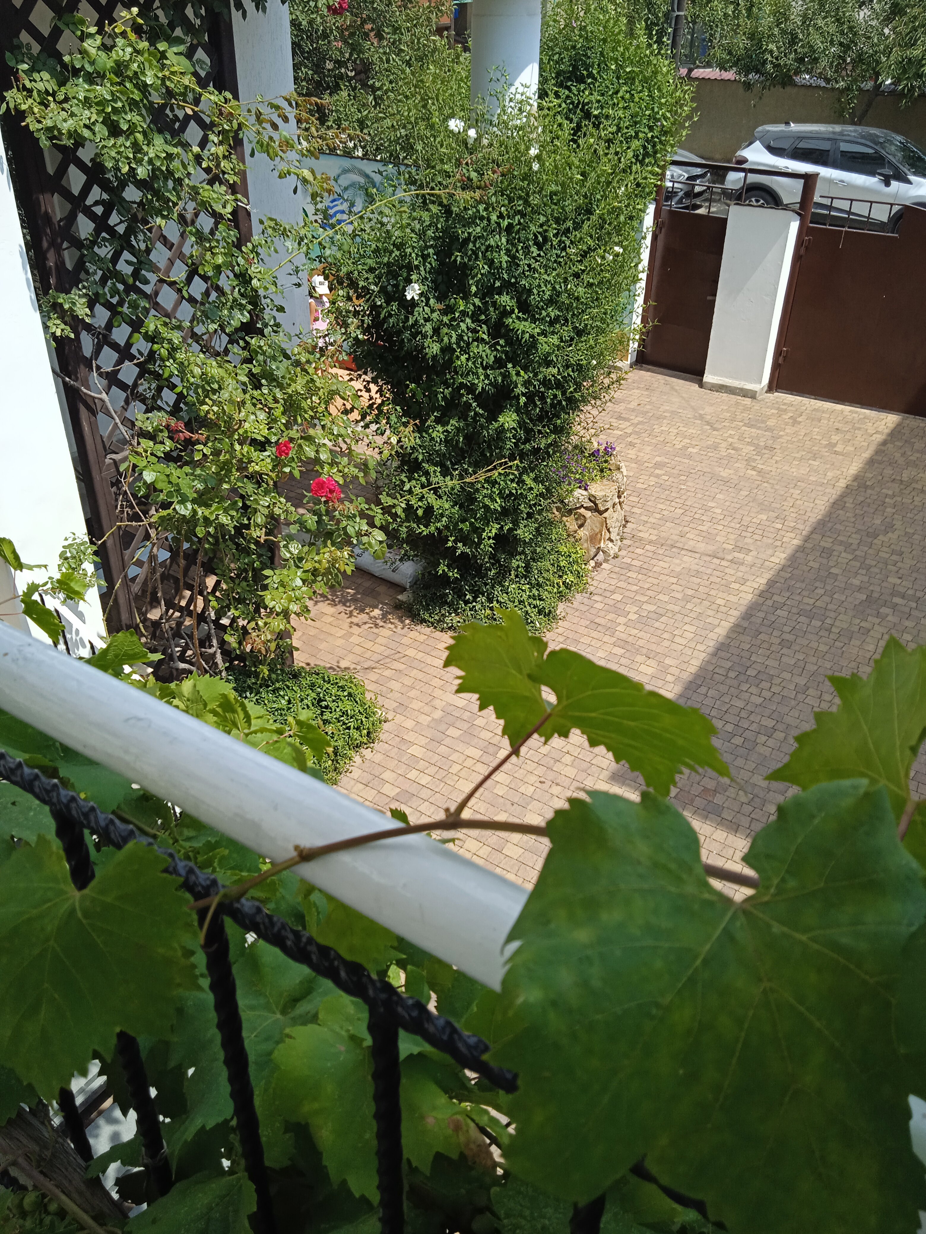 Фото Николь