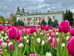 Administratsiya Mo g. Belorechensk, Mu (ulitsa Lenina, 64), administration