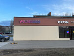 Wildberries (Oktyabrskaya ulitsa, 108), point of delivery