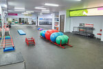 Sobaki Club (Guryanova Street, 30), pet salon