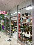 Magazin tsvetov (Khimikov Avenue, 34), flower shop